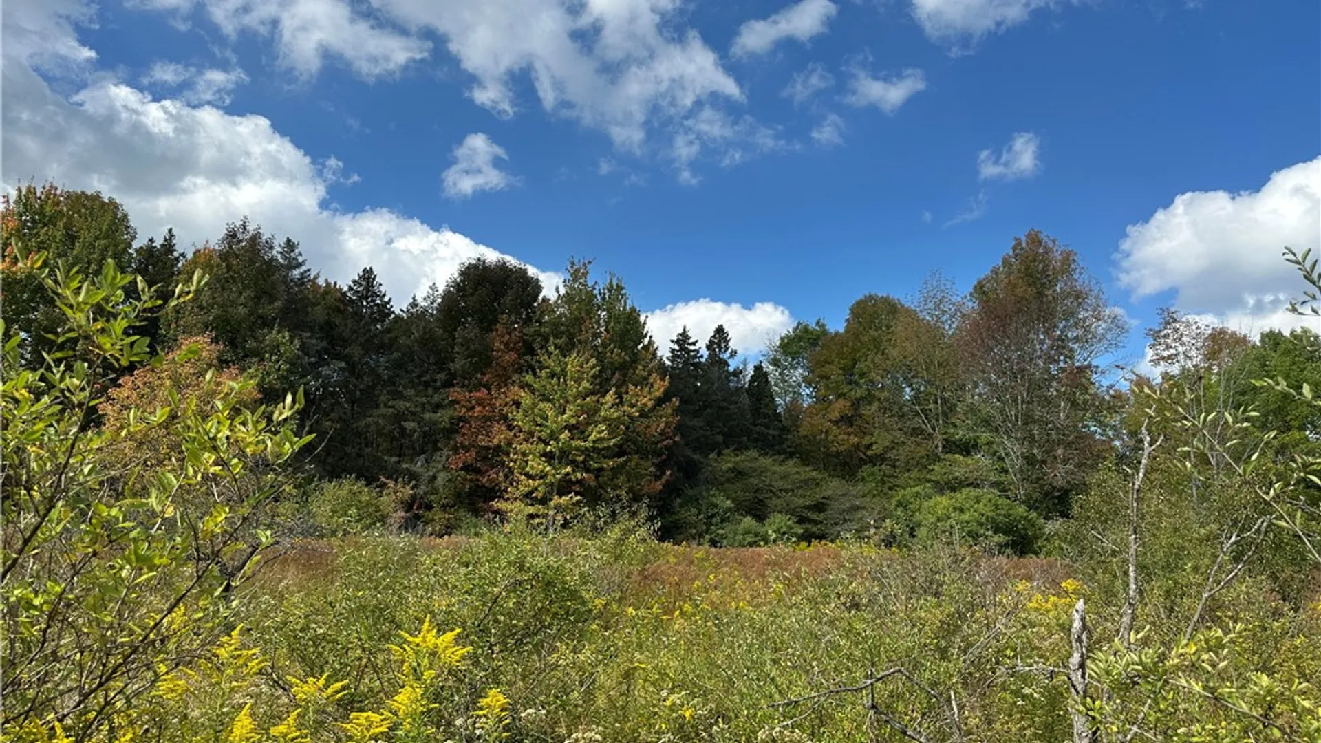 Property at Lot 9 McAndrews Rd, Alfred, NY 14806 20
