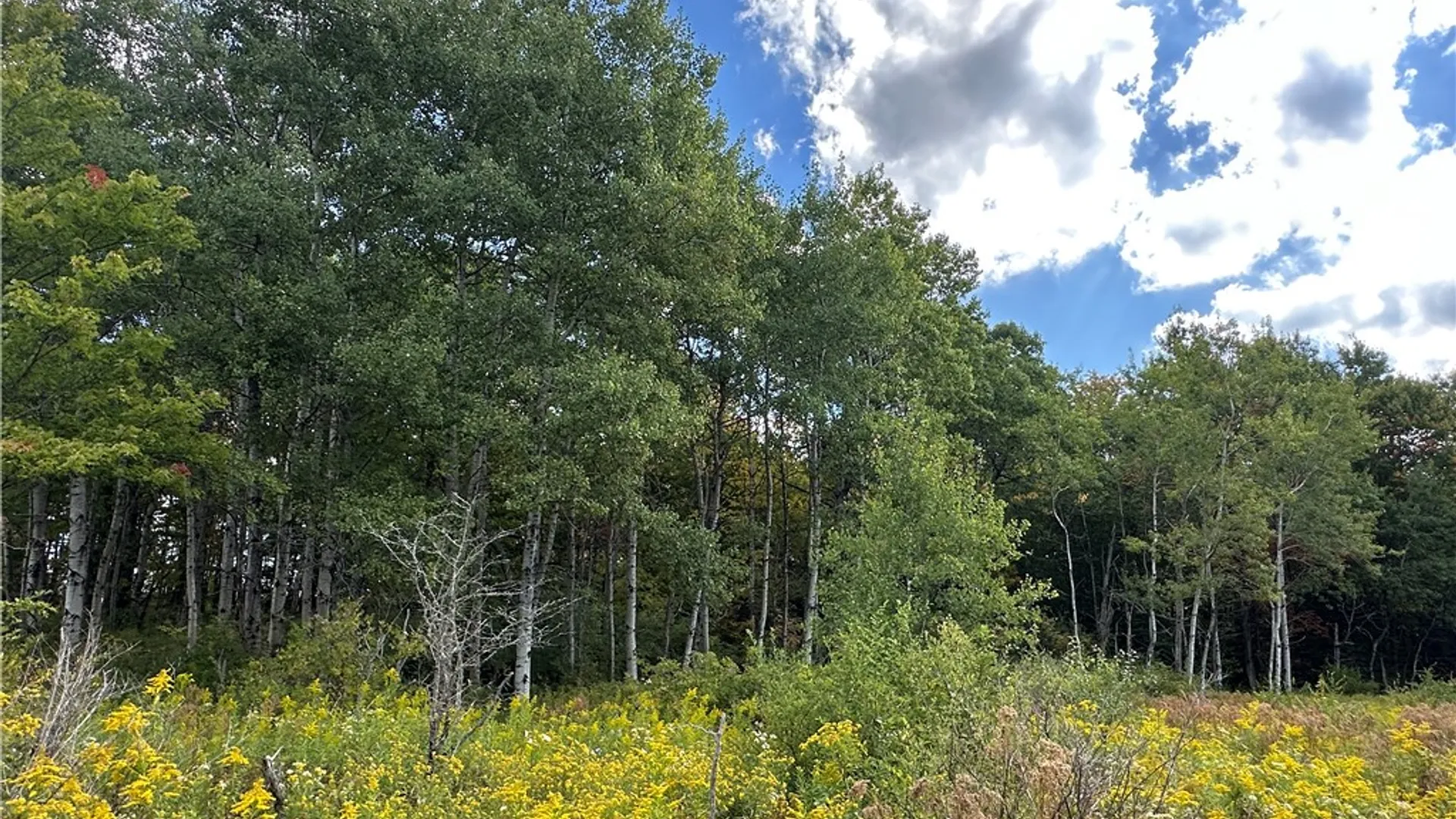 Property at Lot 9 McAndrews Rd, Alfred, NY 14806 21