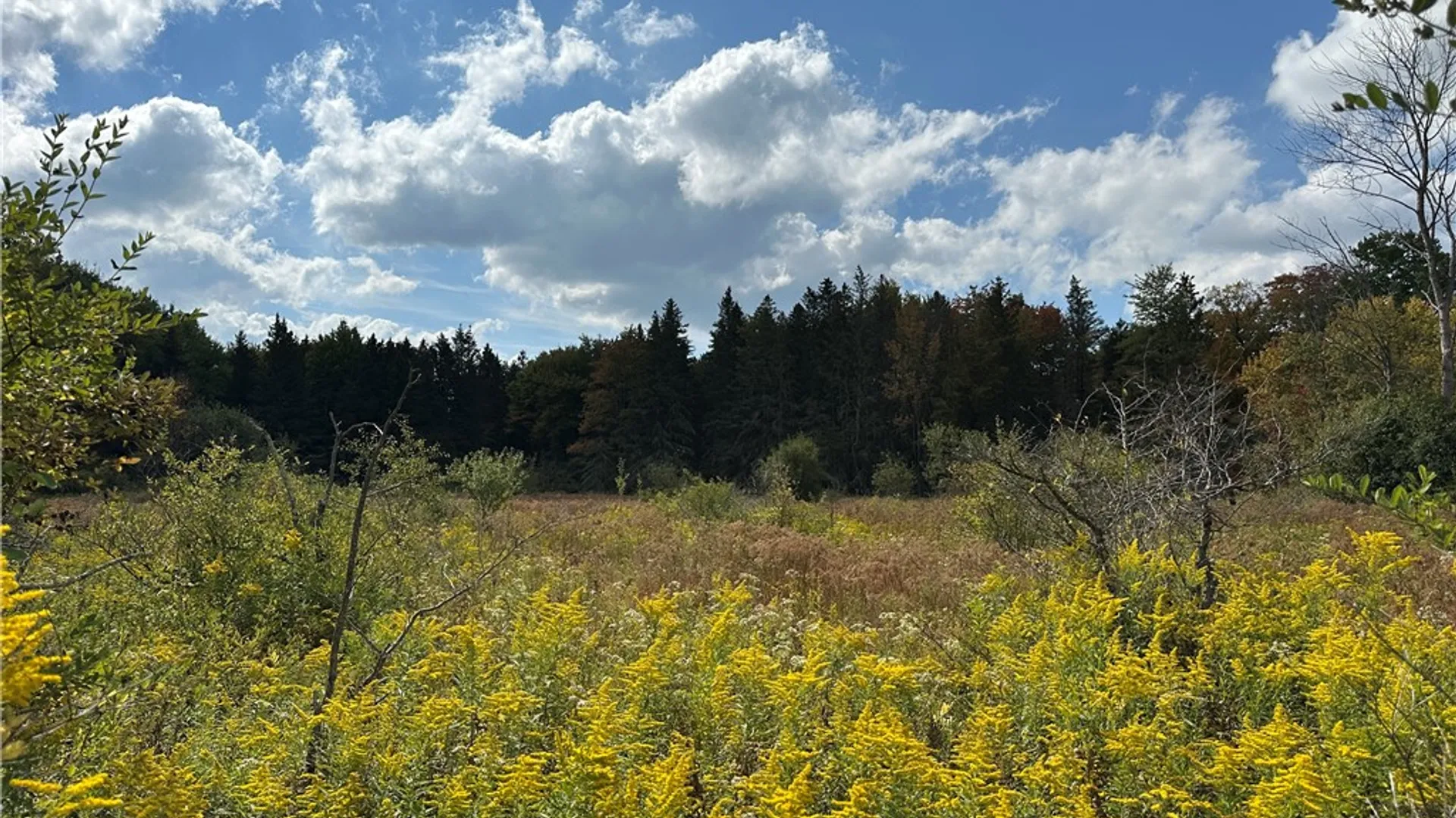 Property at Lot 9 McAndrews Rd, Alfred, NY 14806 22