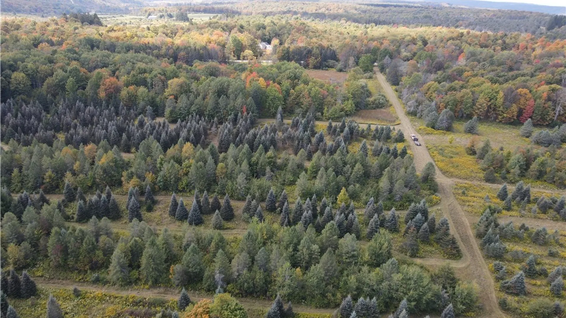 Property at Lot 9 McAndrews Rd, Alfred, NY 14806 4
