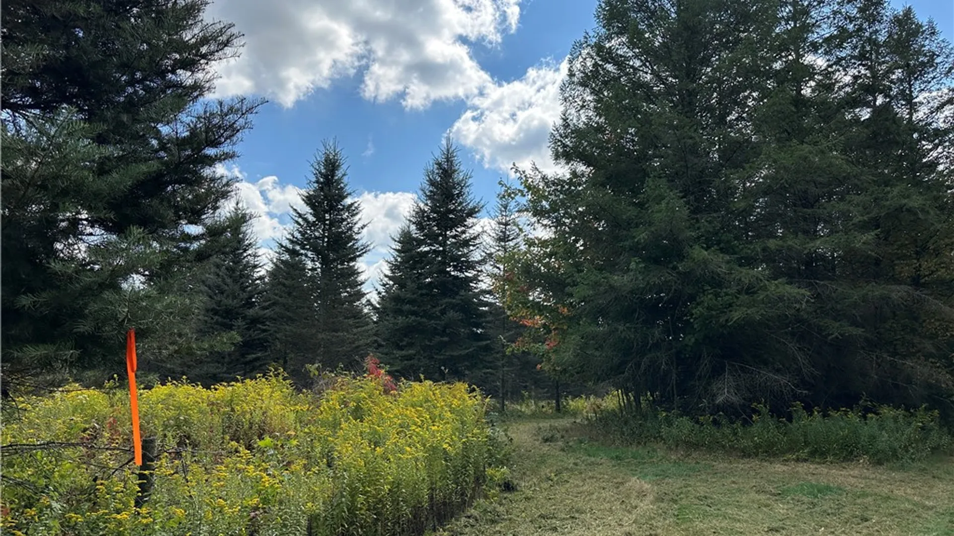 Property at Lot 9 McAndrews Rd, Alfred, NY 14806 5