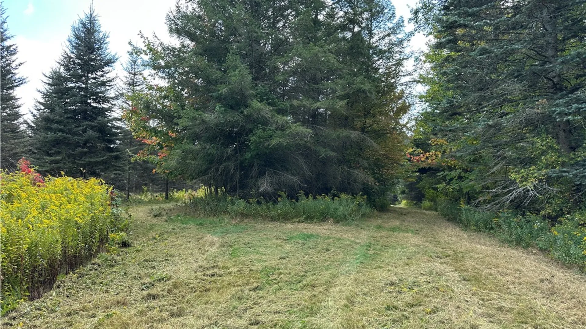Property at Lot 9 McAndrews Rd, Alfred, NY 14806 6