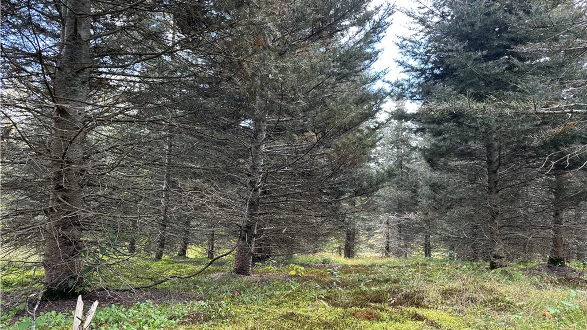 Property at Lot 9 McAndrews Rd, Alfred, NY 14806 8
