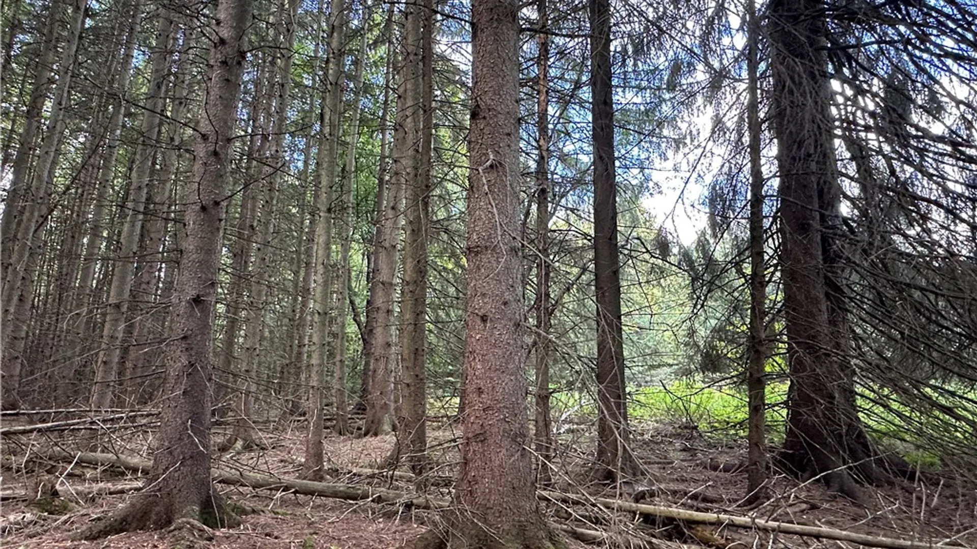 Property at Lot 7 McAndrews Rd, Alfred, NY 14806 11