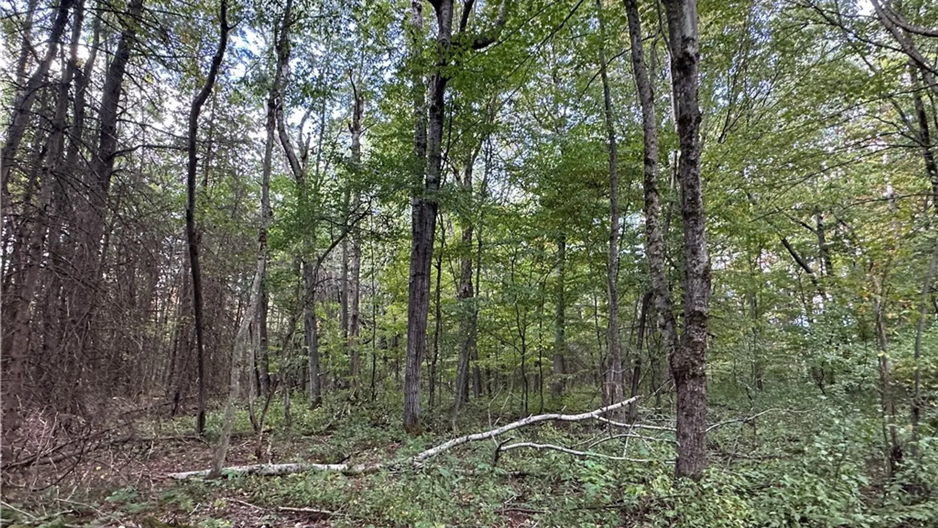 Property at Lot 7 McAndrews Rd, Alfred, NY 14806 12