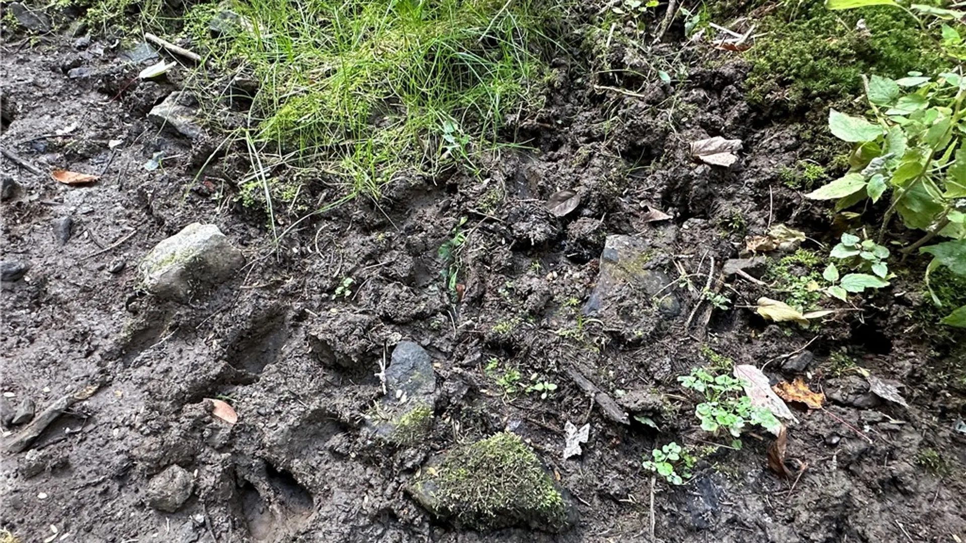 Property at Lot 7 McAndrews Rd, Alfred, NY 14806 14