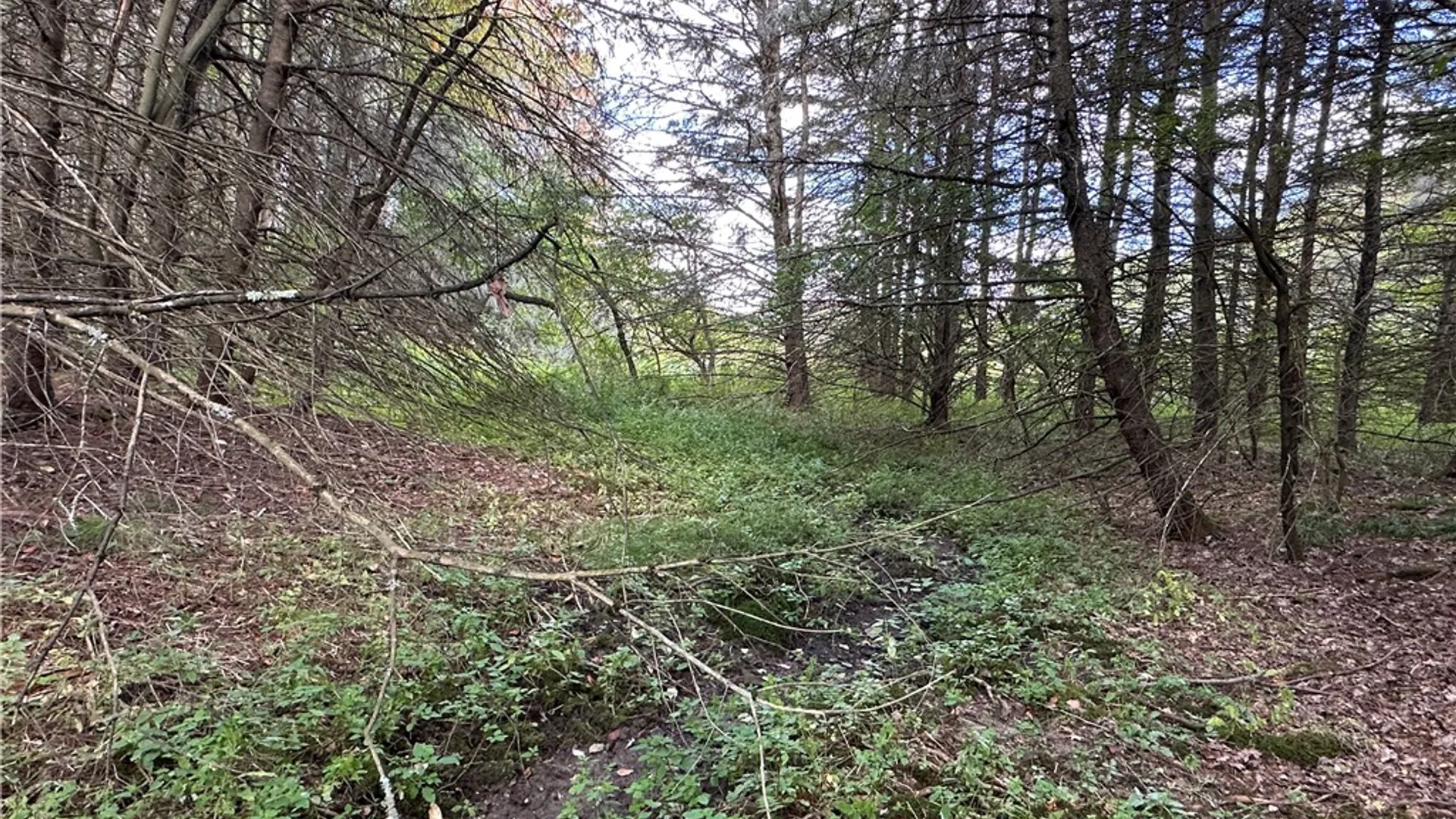 Property at Lot 7 McAndrews Rd, Alfred, NY 14806 15