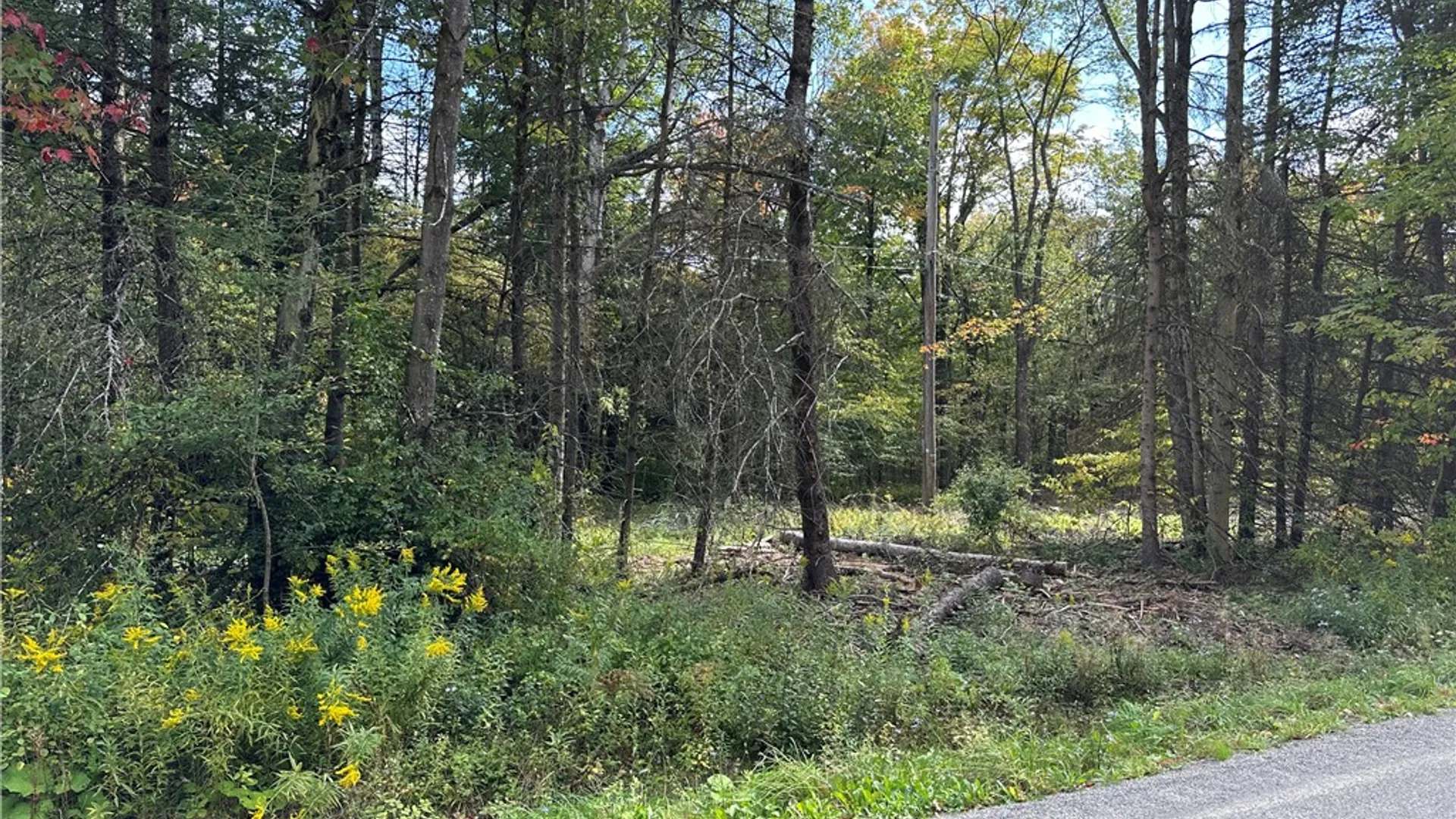 Property at Lot 7 McAndrews Rd, Alfred, NY 14806 18