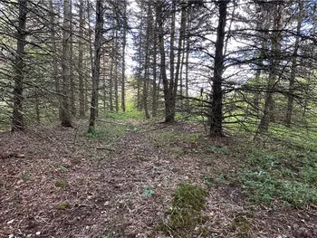 Lot 7 McAndrews Rd, Alfred, NY 14806