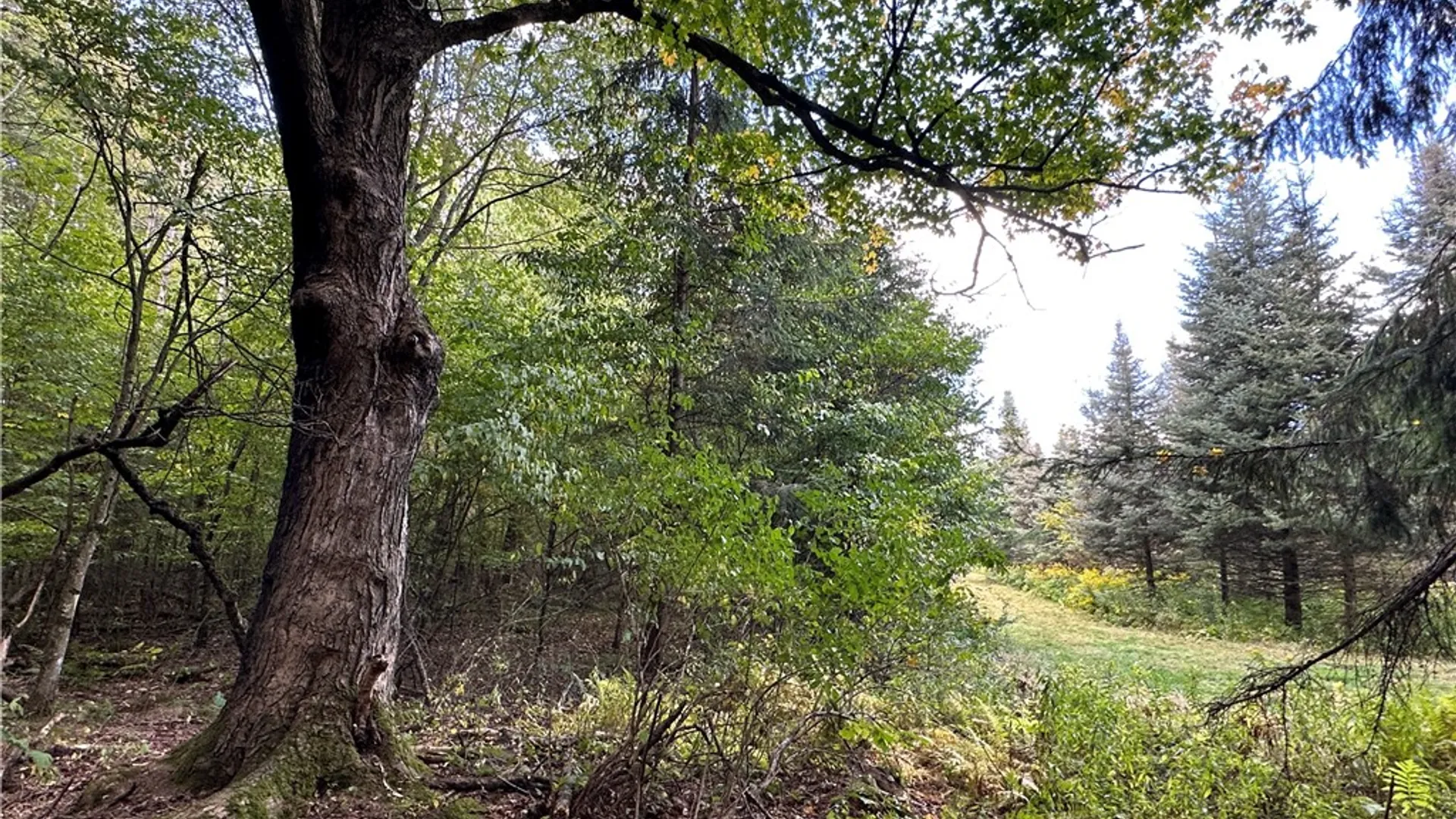 Property at Lot 7 McAndrews Rd, Alfred, NY 14806 2