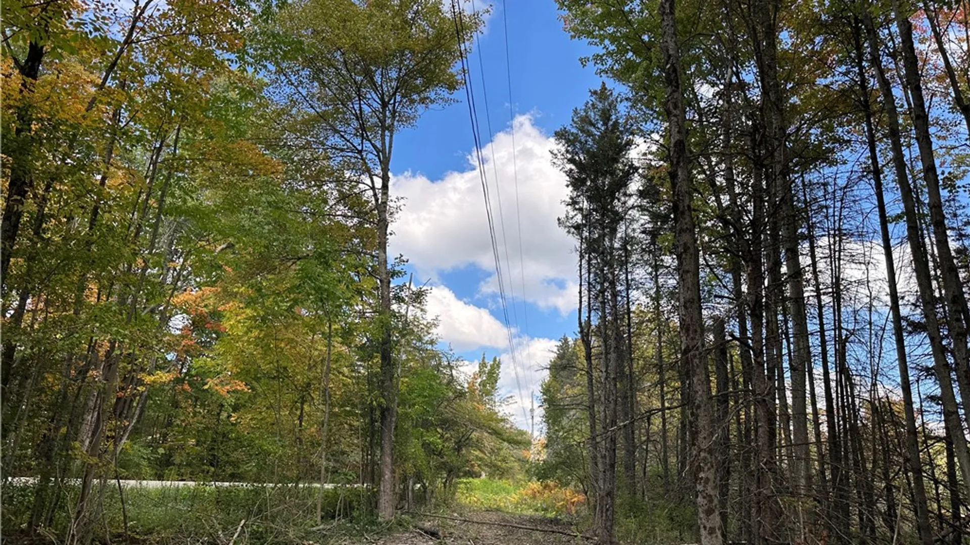 Property at Lot 7 McAndrews Rd, Alfred, NY 14806 20