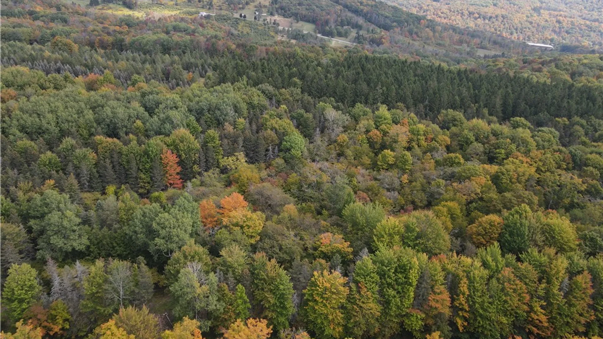 Property at Lot 7 McAndrews Rd, Alfred, NY 14806 3