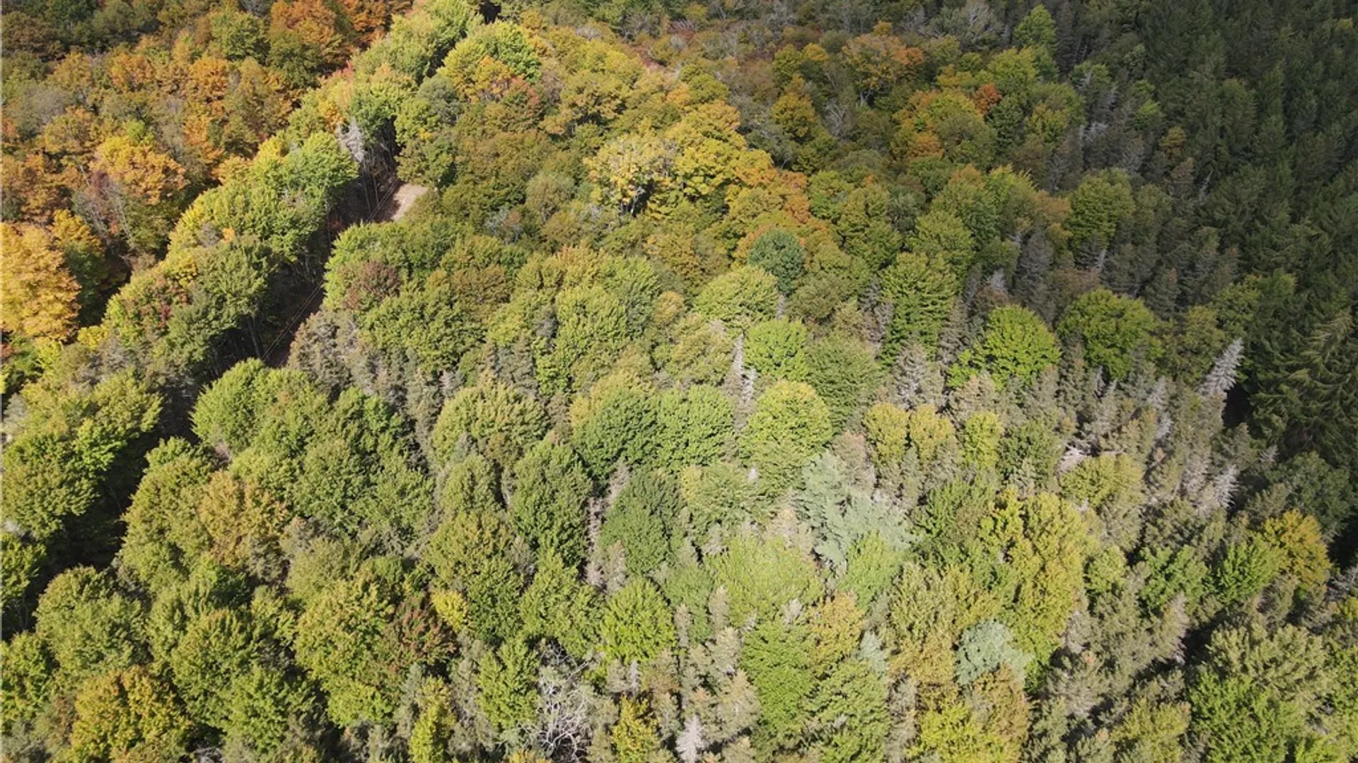 Property at Lot 7 McAndrews Rd, Alfred, NY 14806 4