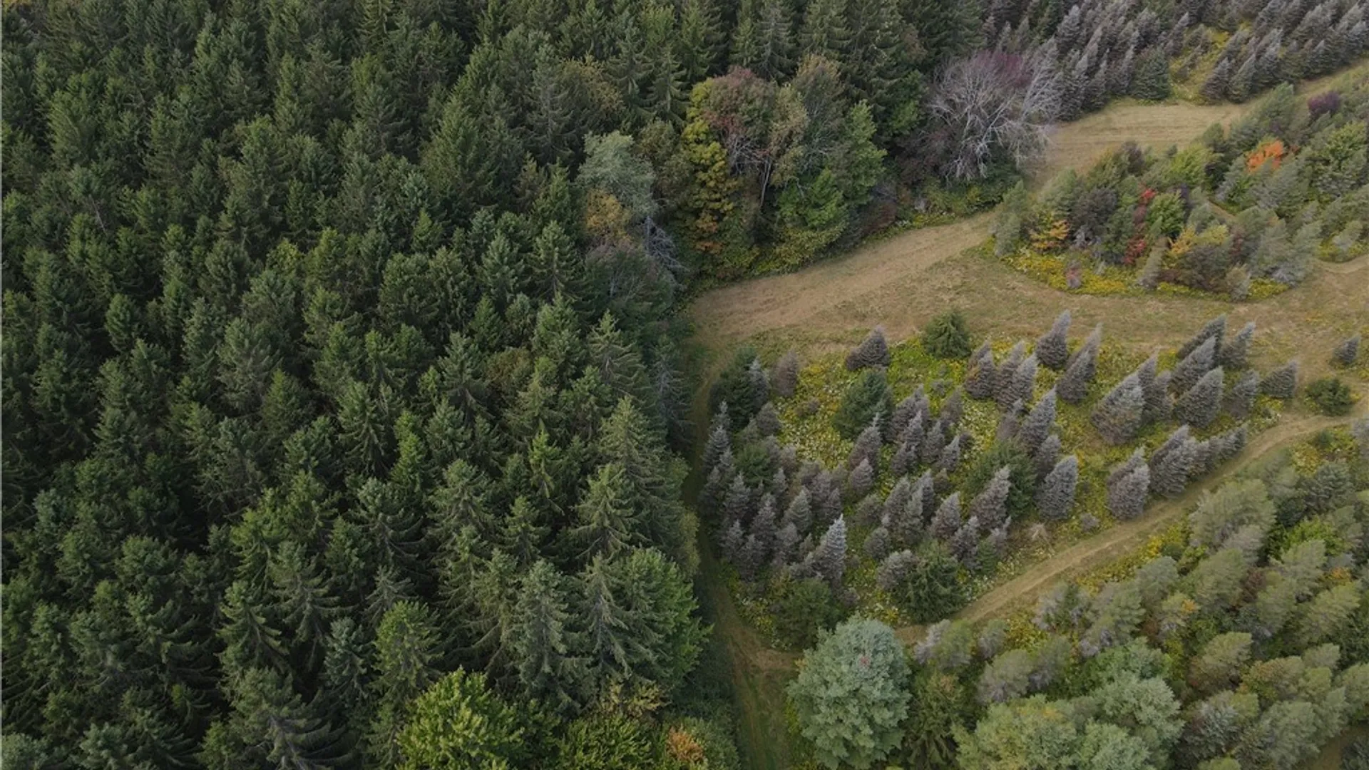 Property at Lot 7 McAndrews Rd, Alfred, NY 14806 5