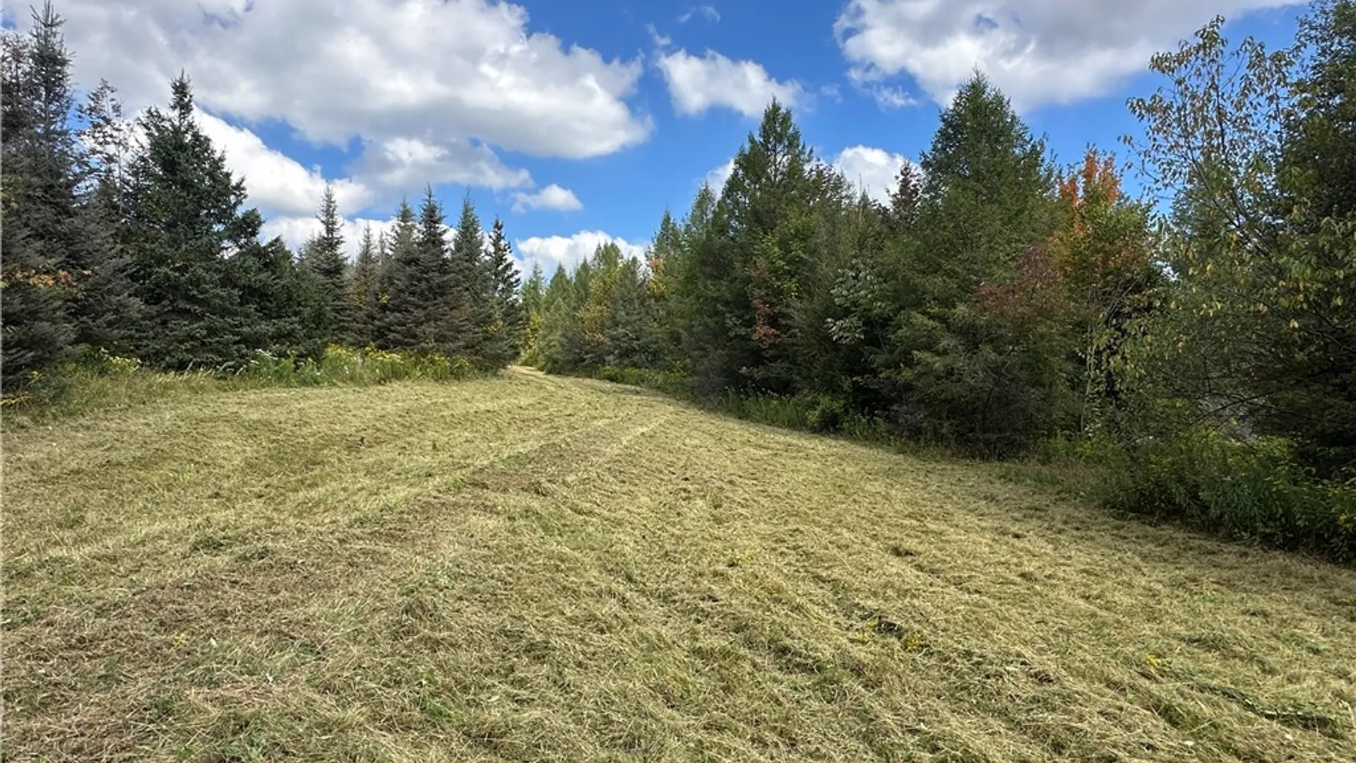 Property at Lot 7 McAndrews Rd, Alfred, NY 14806 8