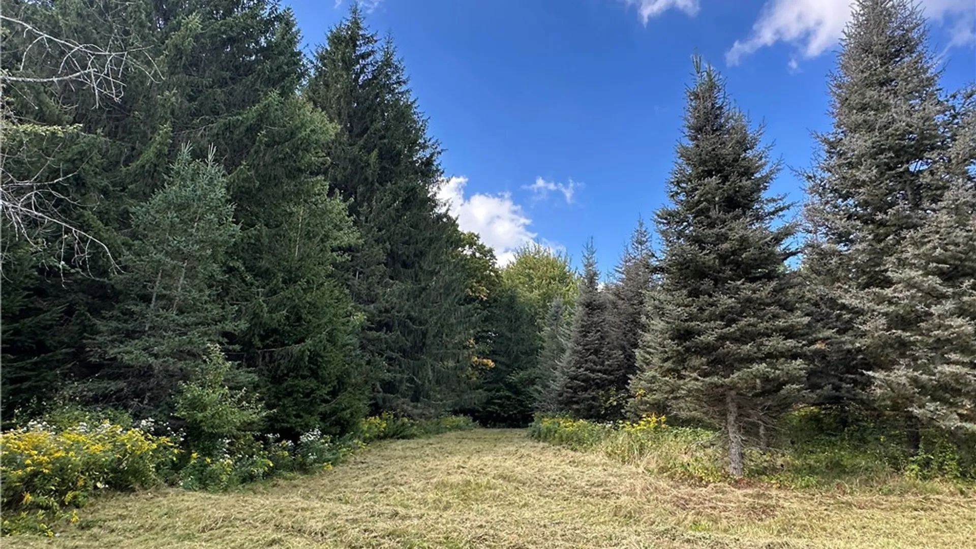 Property at Lot 7 McAndrews Rd, Alfred, NY 14806 9