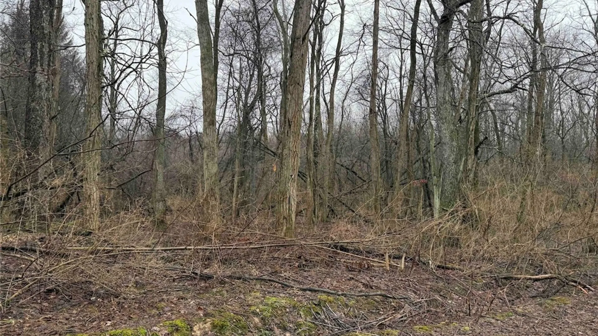 Property at Bliss Road, Portland, NY 14757 11