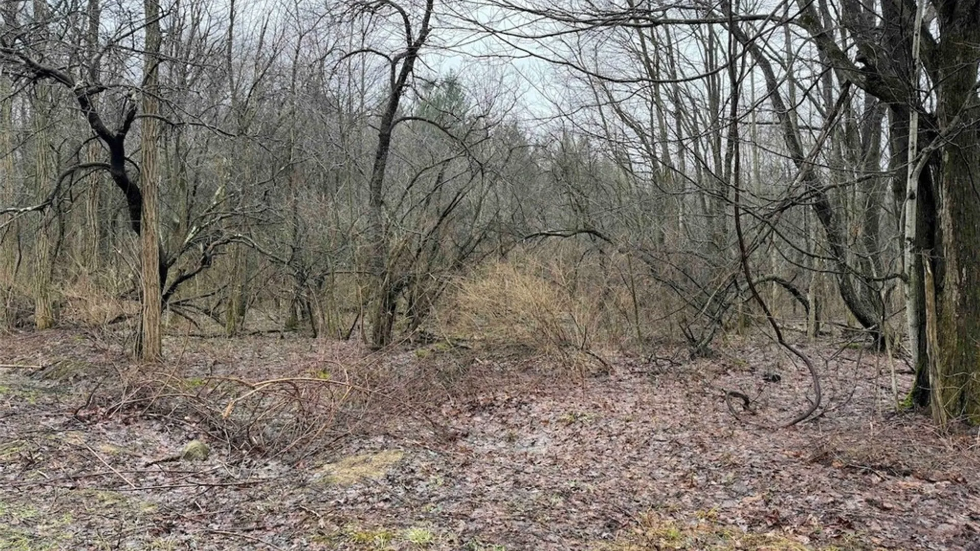 Property at Bliss Road, Portland, NY 14757 12