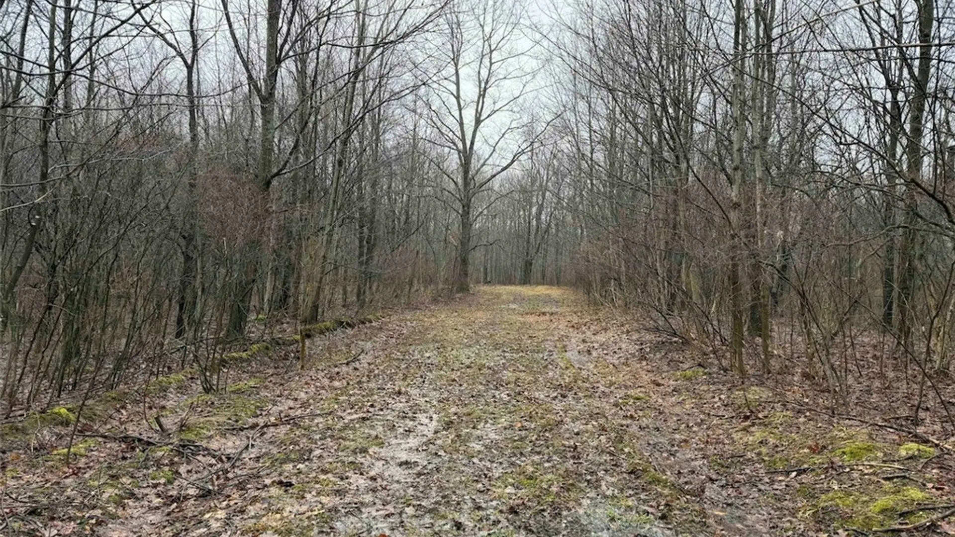 Property at Bliss Road, Portland, NY 14757 16
