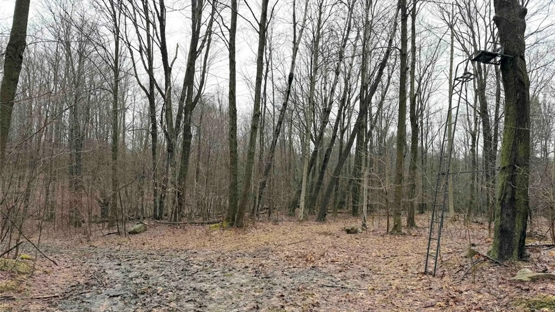 Property at Bliss Road, Portland, NY 14757 19