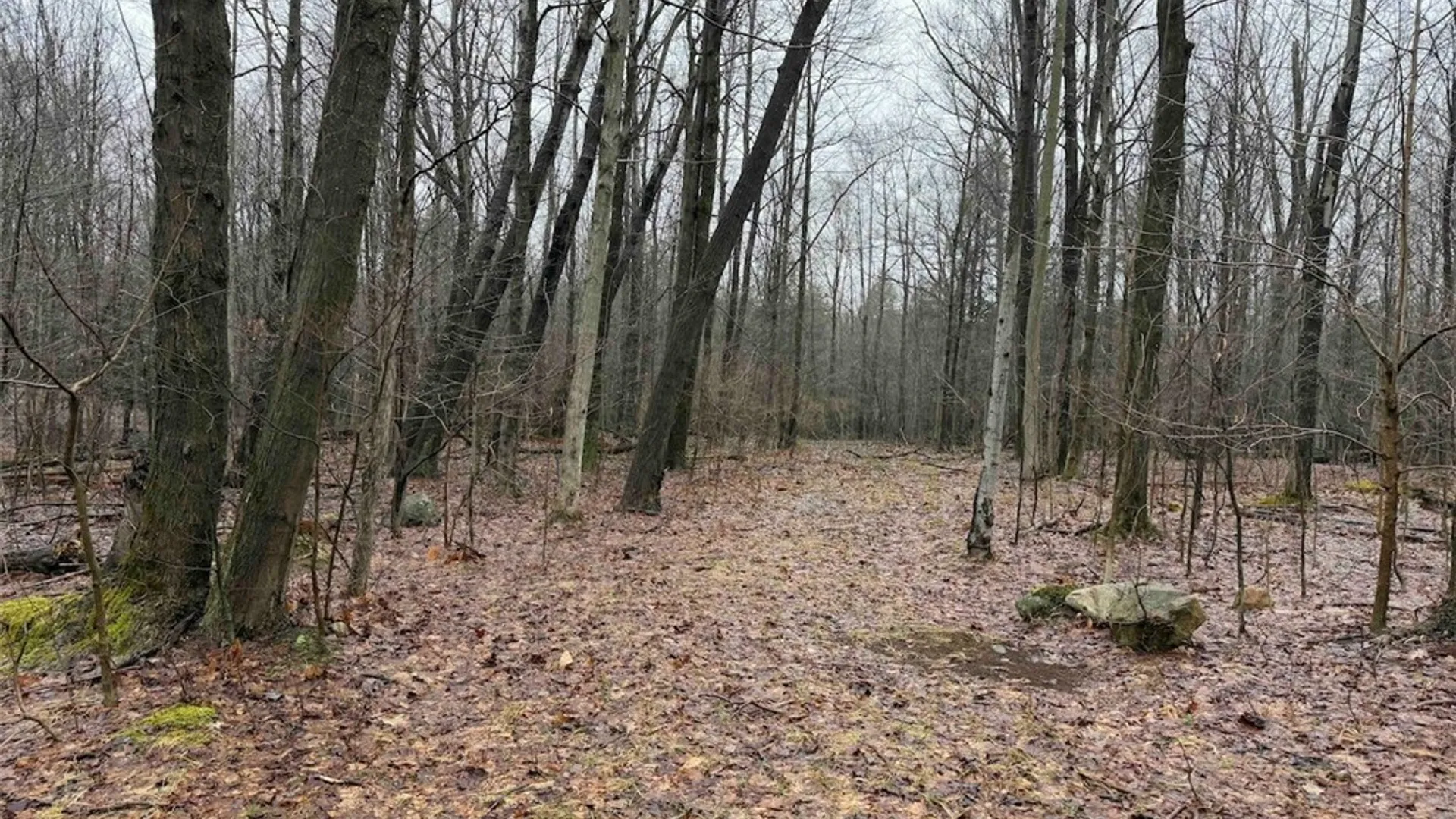 Property at Bliss Road, Portland, NY 14757 20