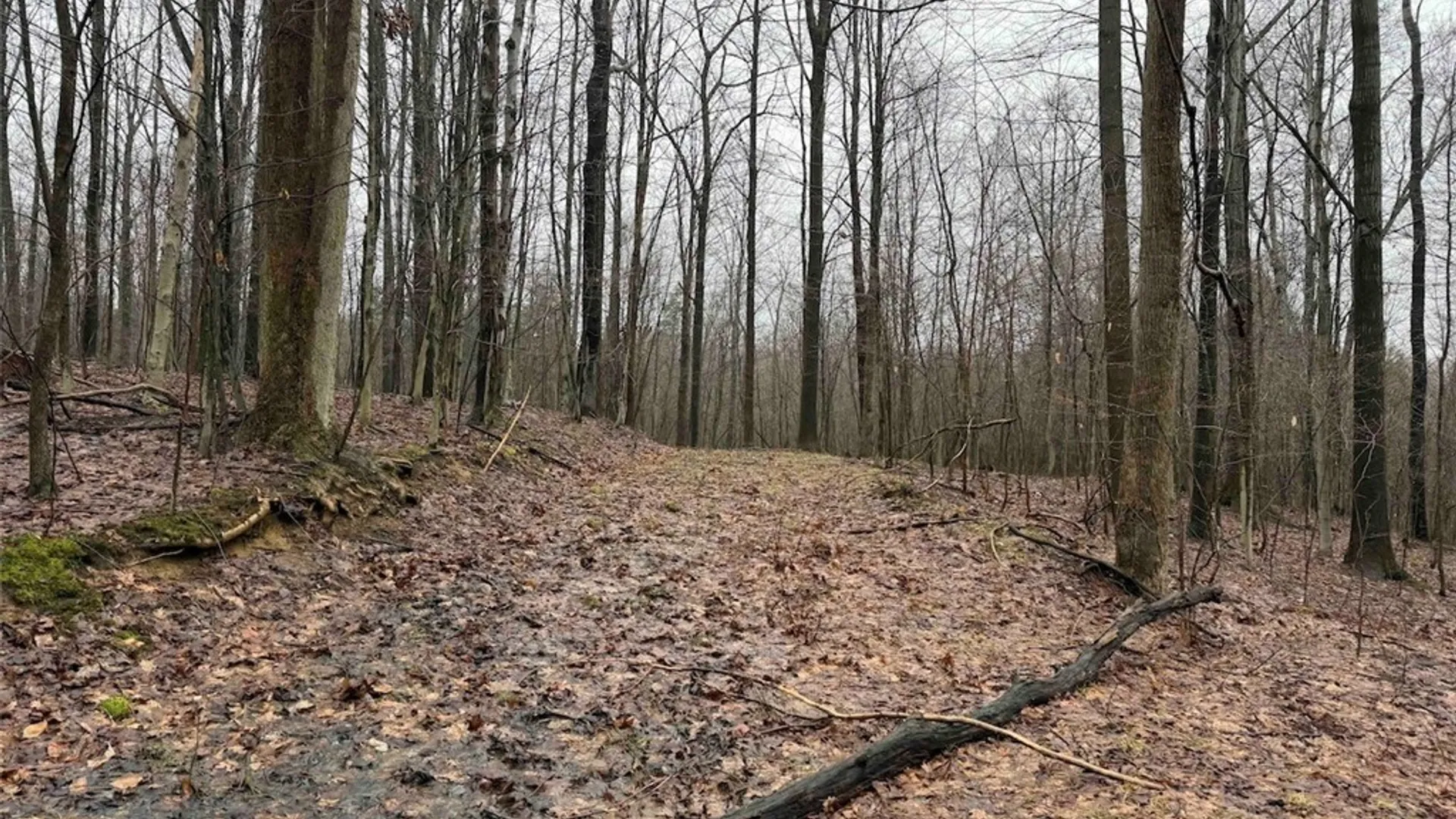 Property at Bliss Road, Portland, NY 14757 21