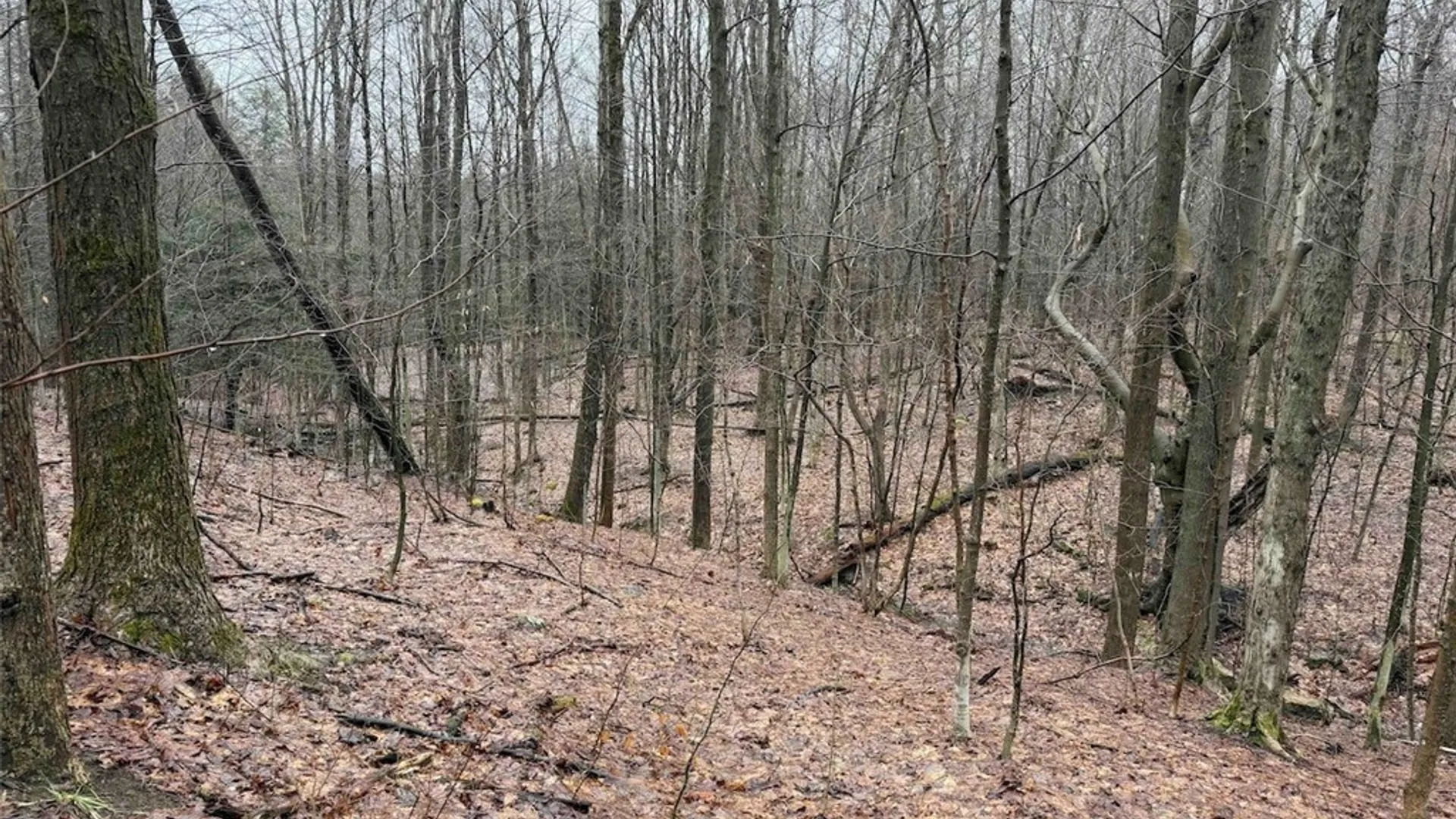 Property at Bliss Road, Portland, NY 14757 22