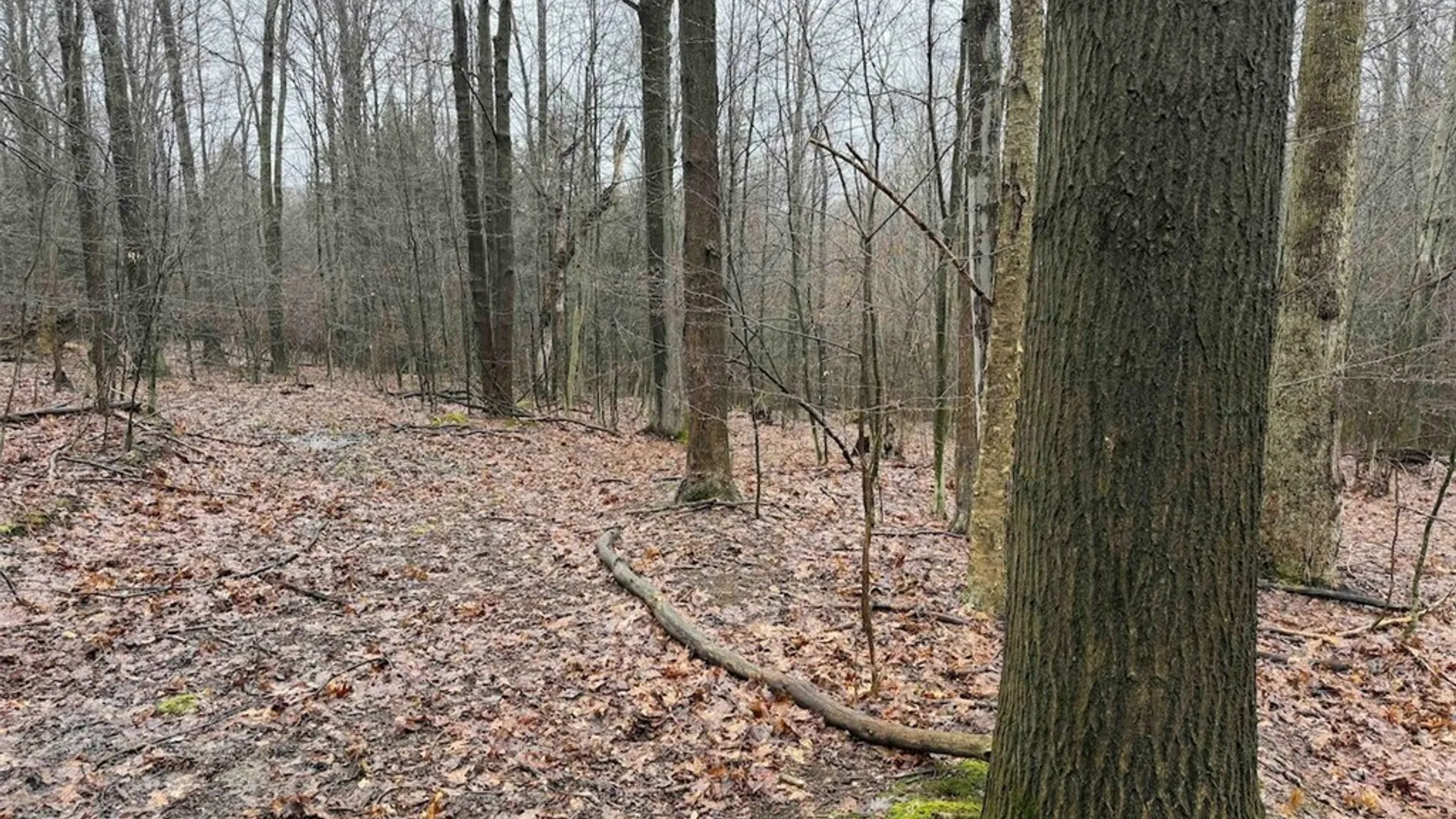 Property at Bliss Road, Portland, NY 14757 23