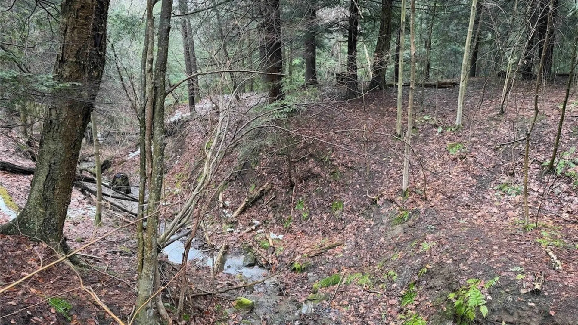 Property at Bliss Road, Portland, NY 14757 28