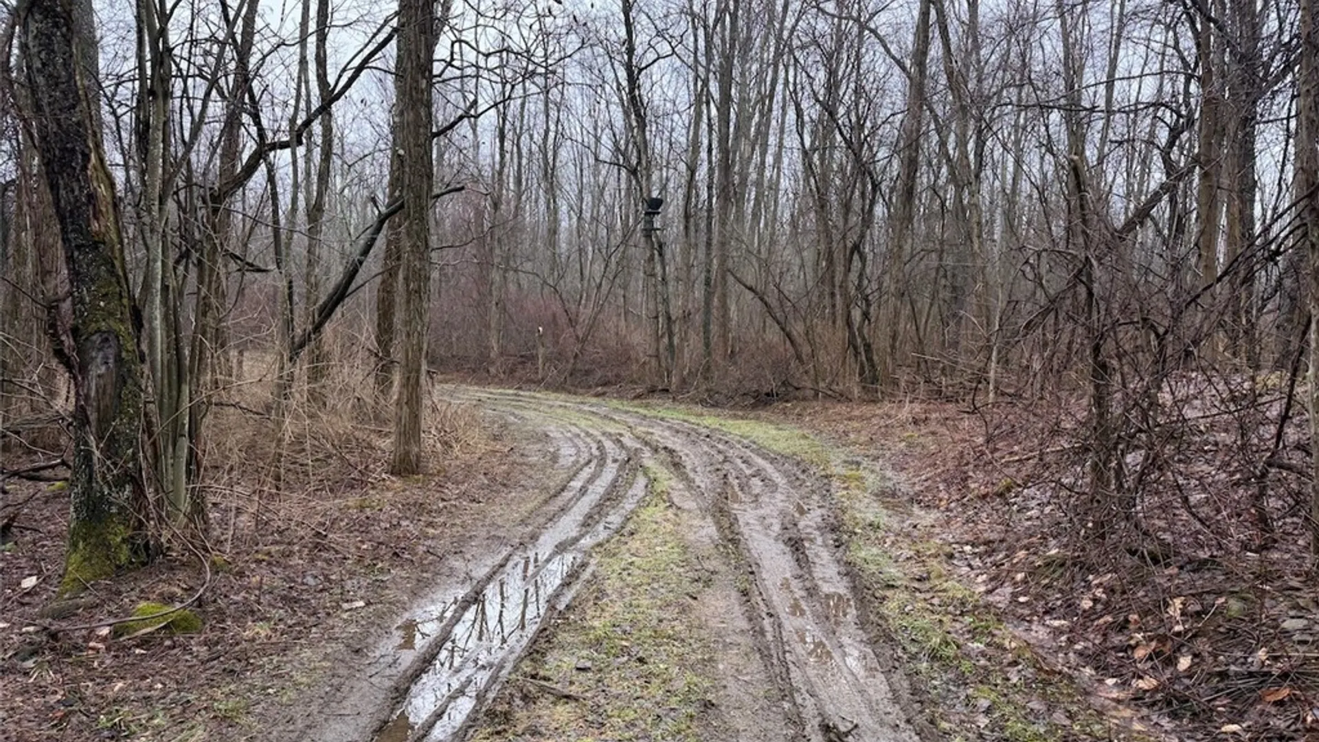 Property at Bliss Road, Portland, NY 14757 3