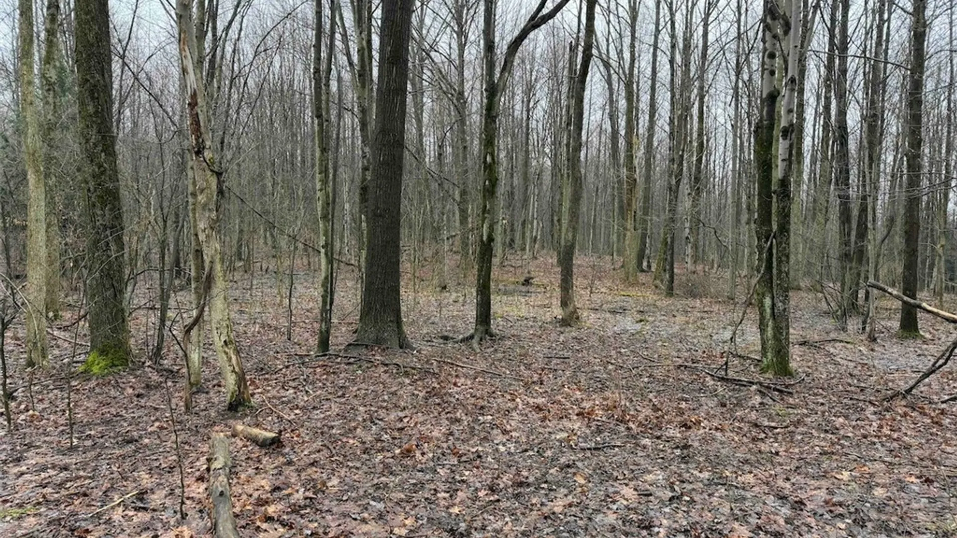Property at Bliss Road, Portland, NY 14757 31