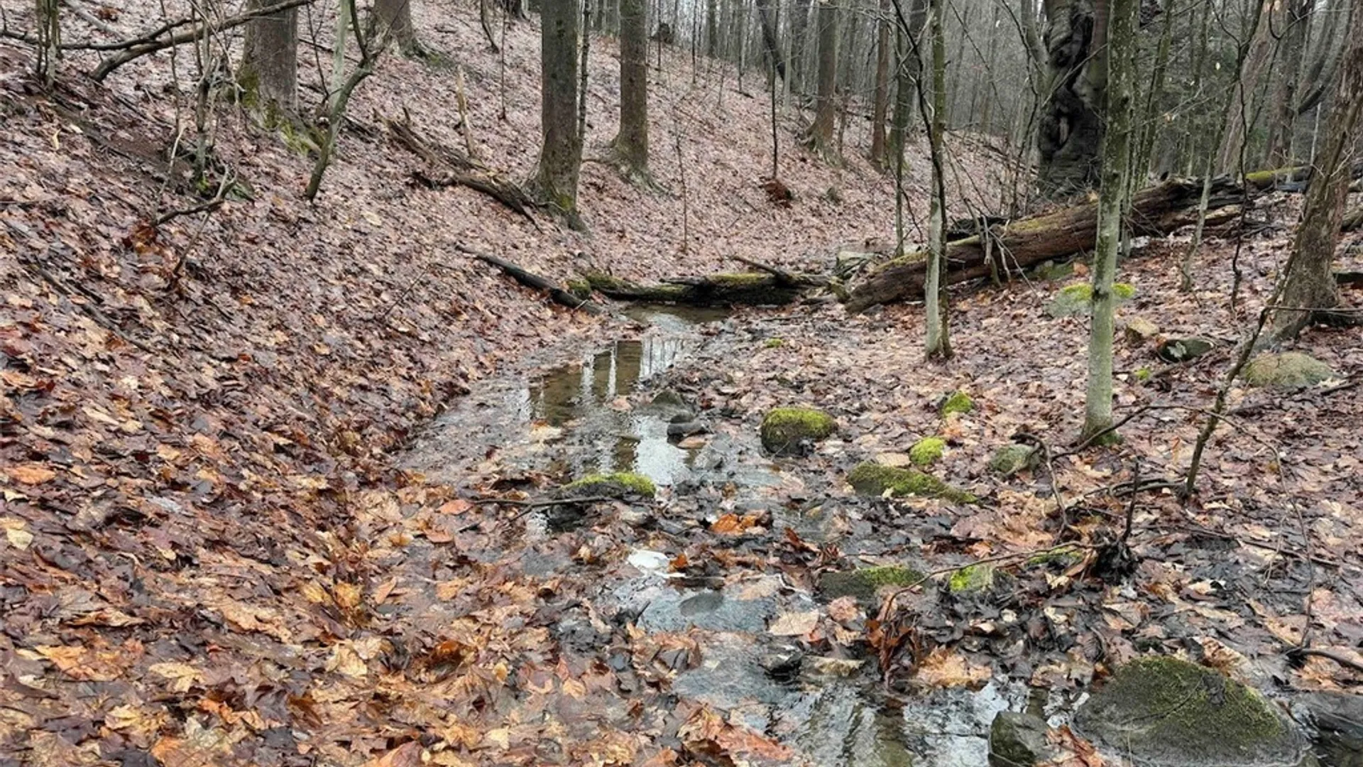 Property at Bliss Road, Portland, NY 14757 9
