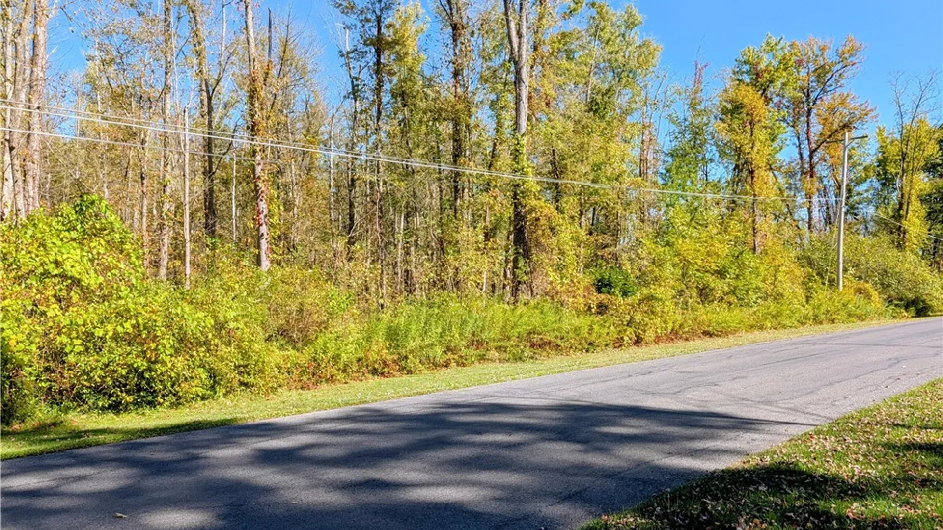 Property at 9553 Horseshoe Island, Clay, NY 13041 3