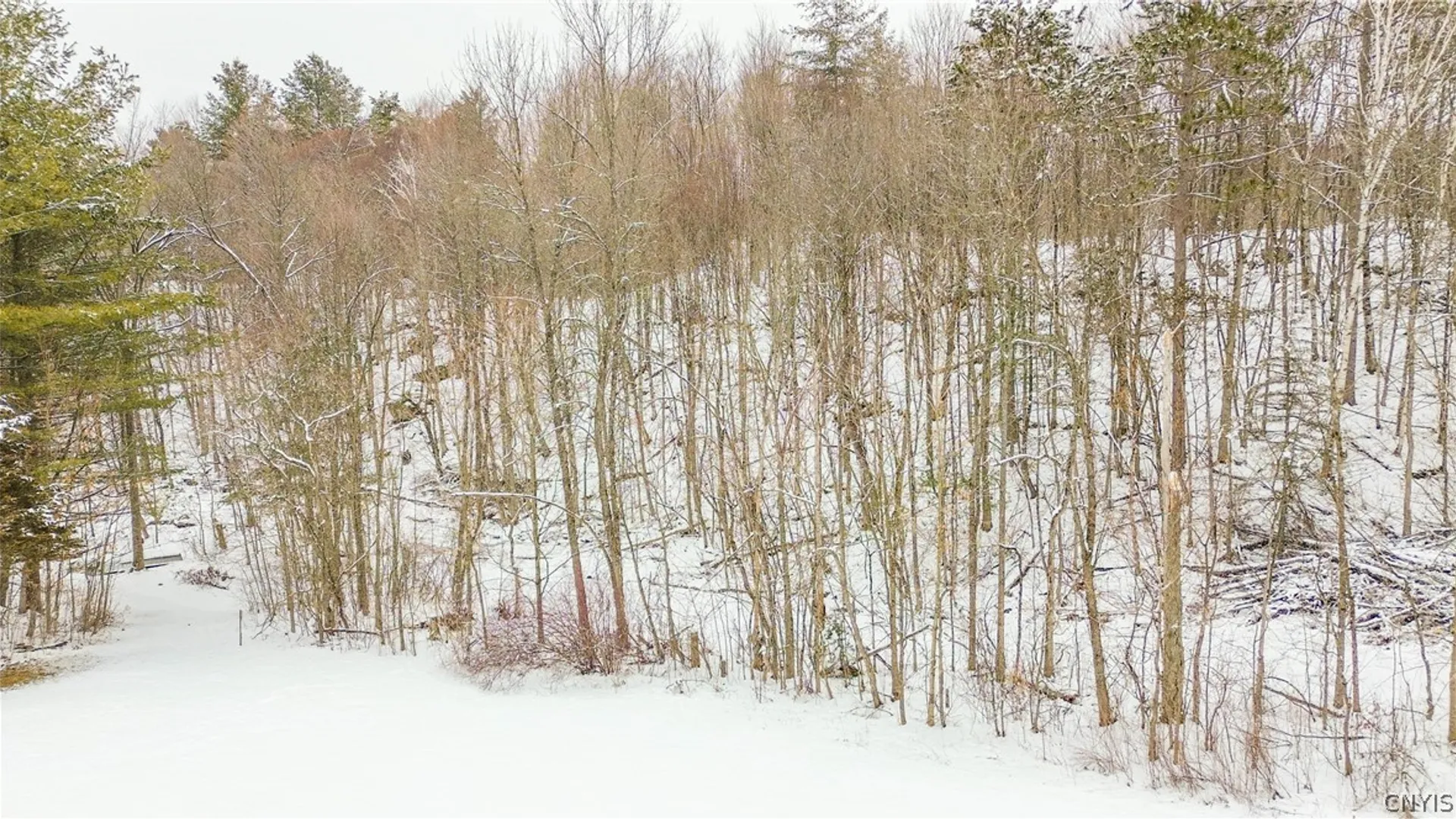 Property at 36349 Co Rte 22, Antwerp, NY 13608 19