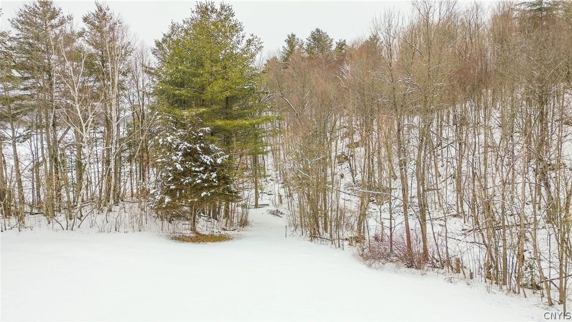 Property at 36349 Co Rte 22, Antwerp, NY 13608 20
