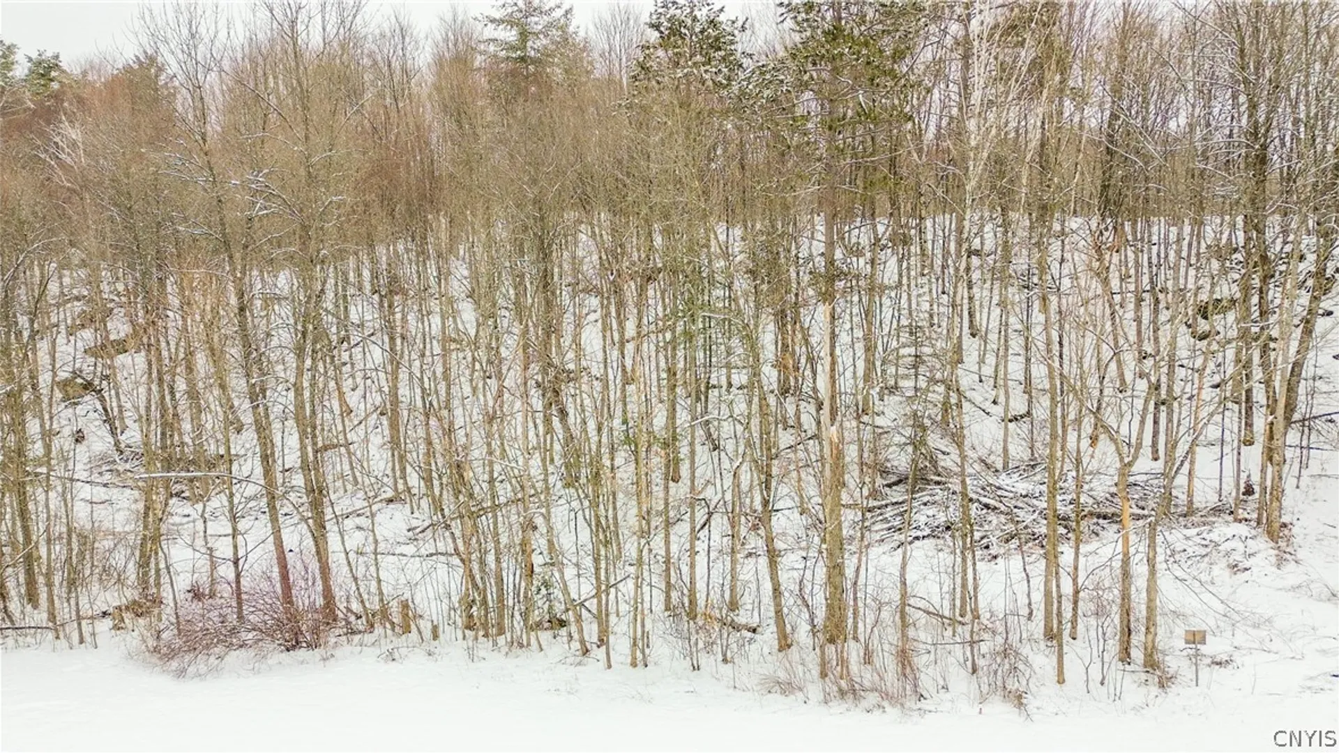 Property at 36349 Co Rte 22, Antwerp, NY 13608 21