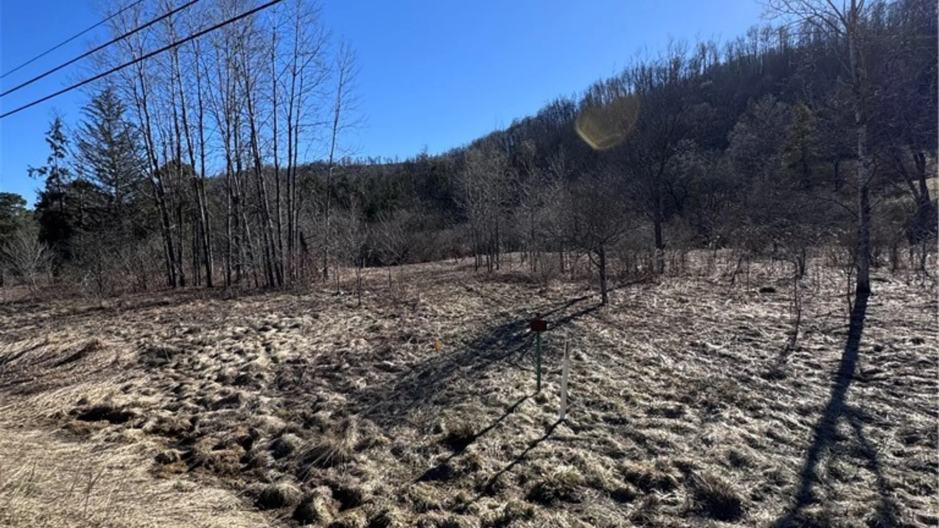 Property at Rt. 46, Keating Town, PA 16749 11