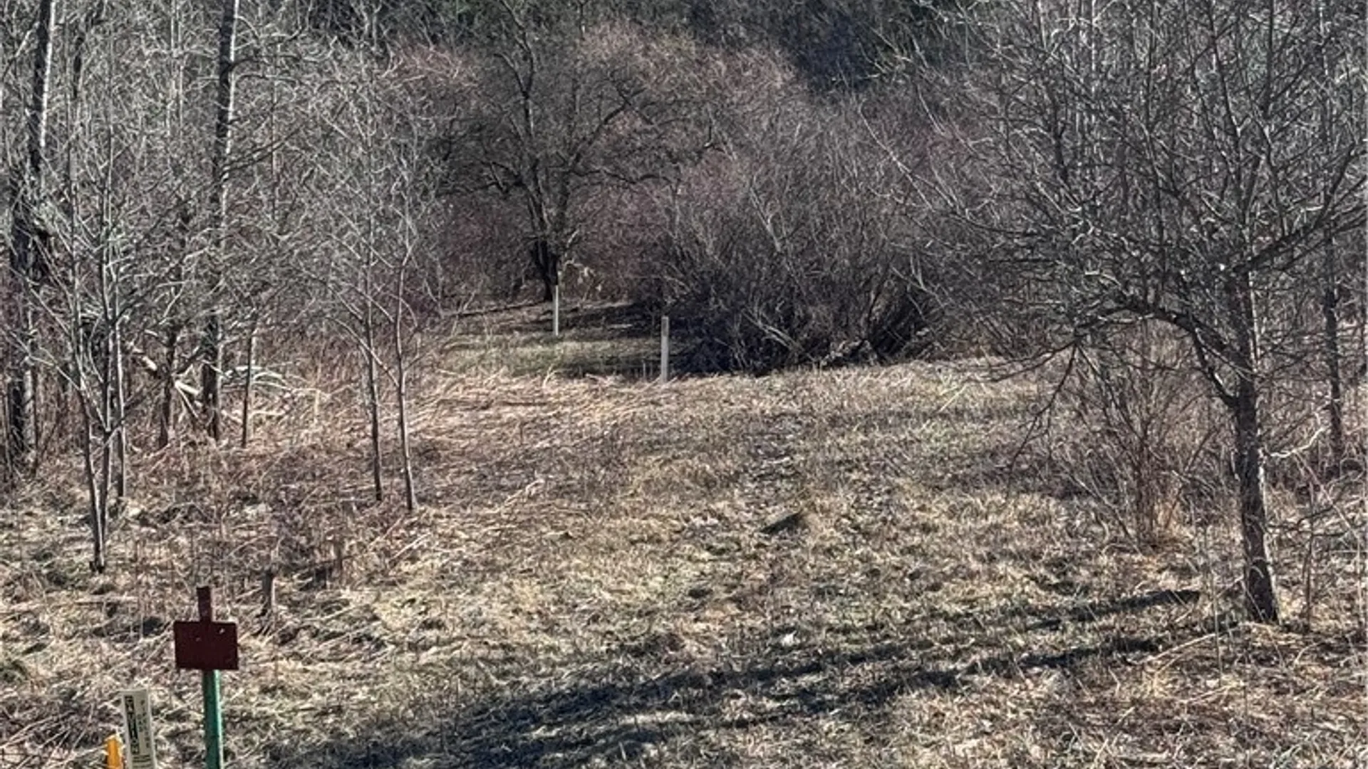 Property at Rt. 46, Keating Town, PA 16749 12