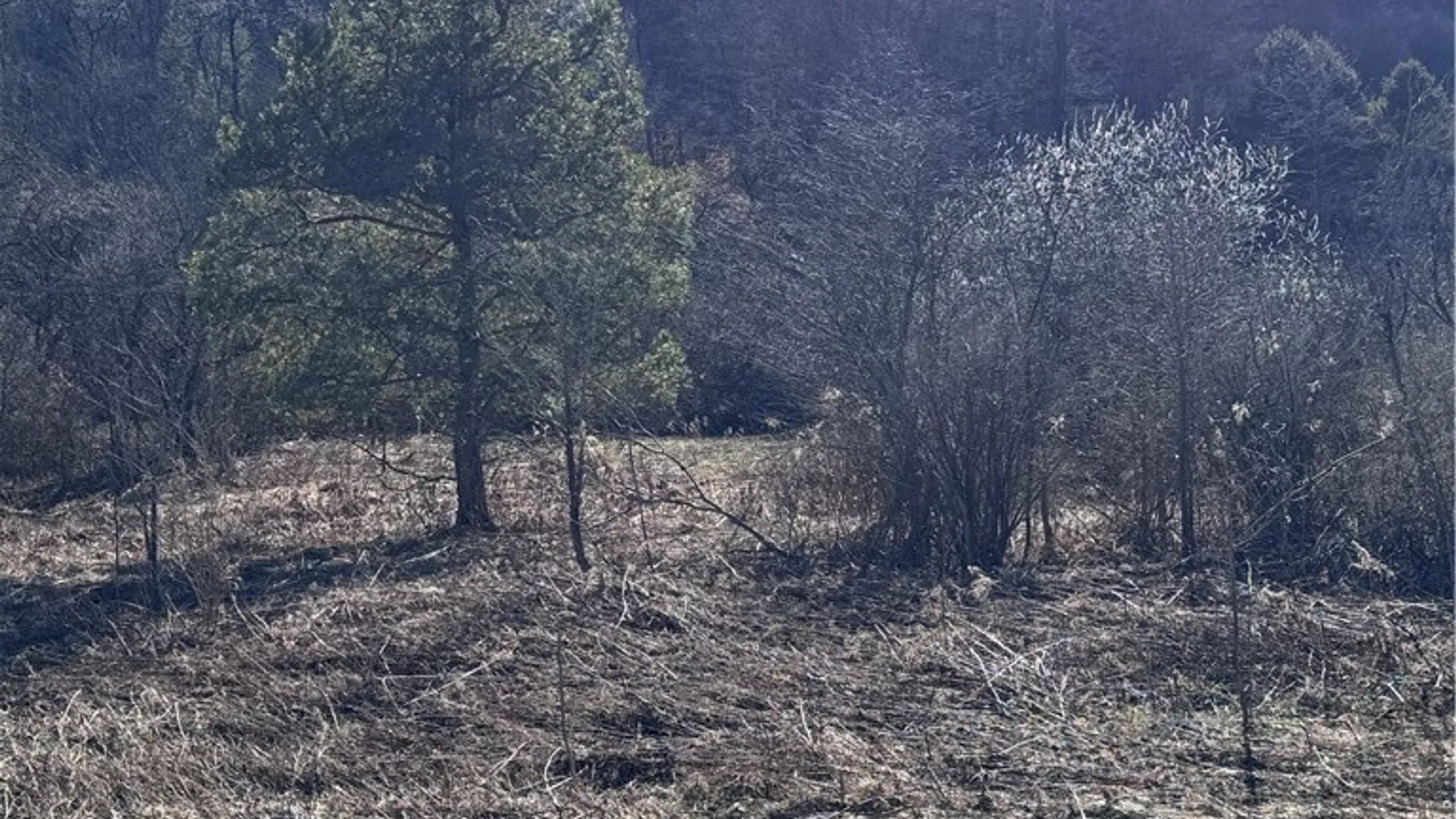 Property at Rt. 46, Keating Town, PA 16749 2