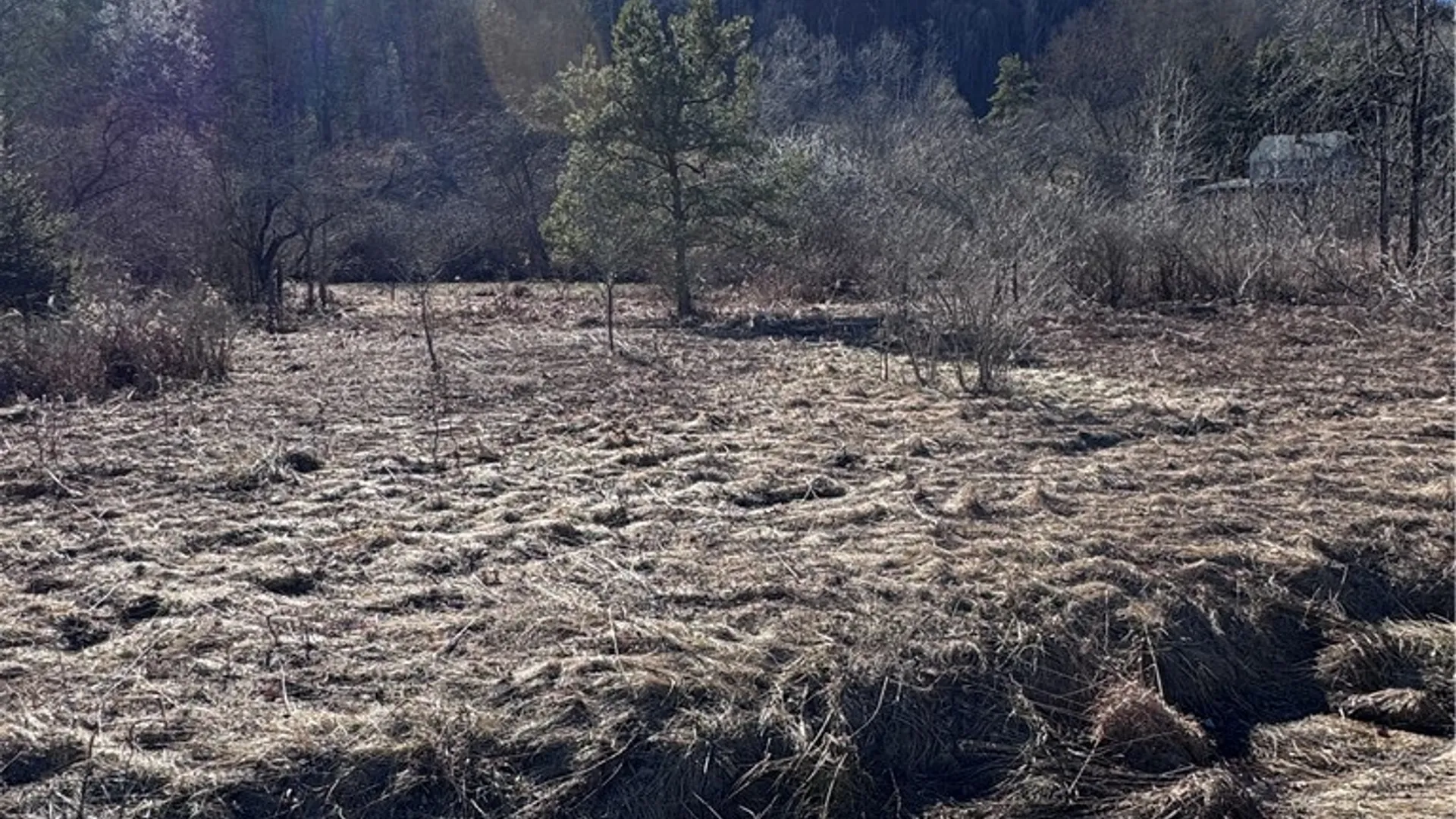 Property at Rt. 46, Keating Town, PA 16749 6