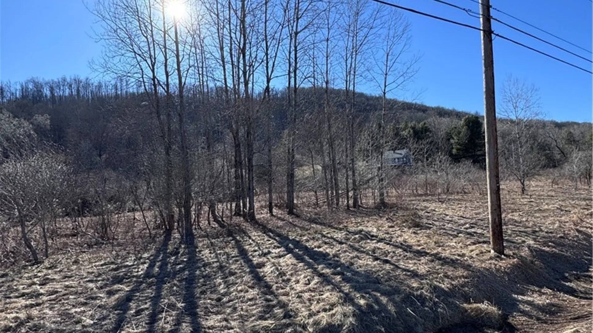 Property at Rt. 46, Keating Town, PA 16749 7