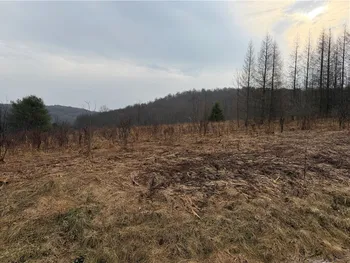 0 Co Hwy 16, Burlington, NY 13315