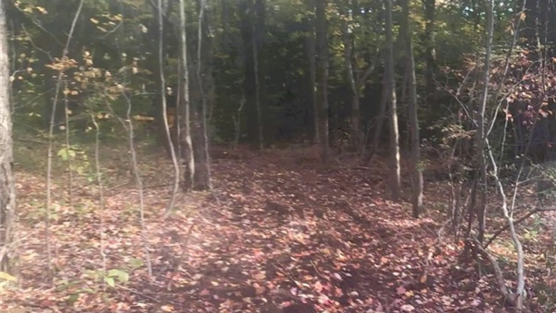 Property at 8176 Kelly Hill Road, Pomfret, NY 14784 12