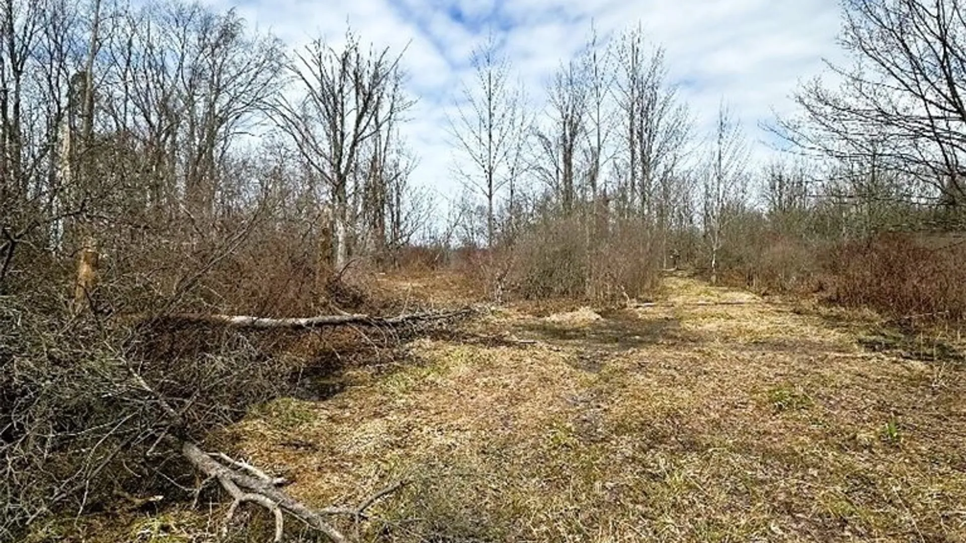 Property at 8176 Kelly Hill Road, Pomfret, NY 14784 3
