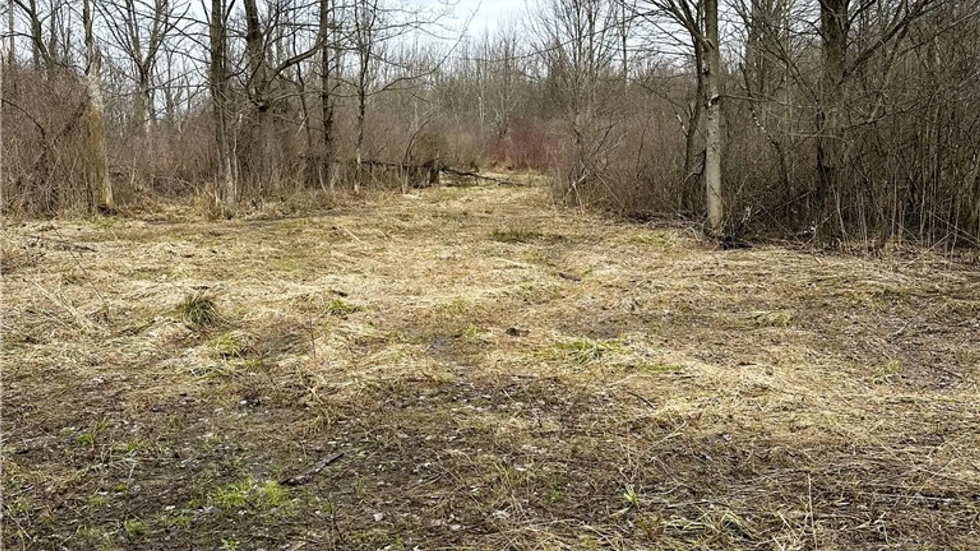 Property at 8176 Kelly Hill Road, Pomfret, NY 14784 5