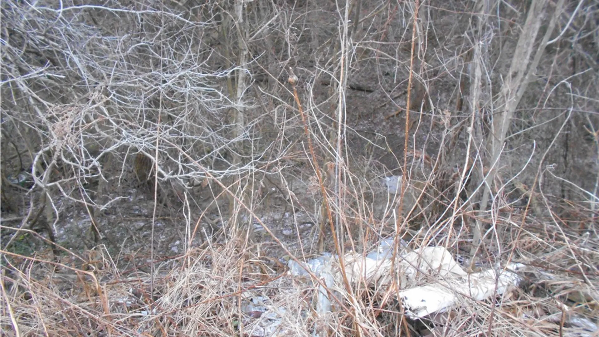 Property at 0 Route 39, Pike, NY 14066 10