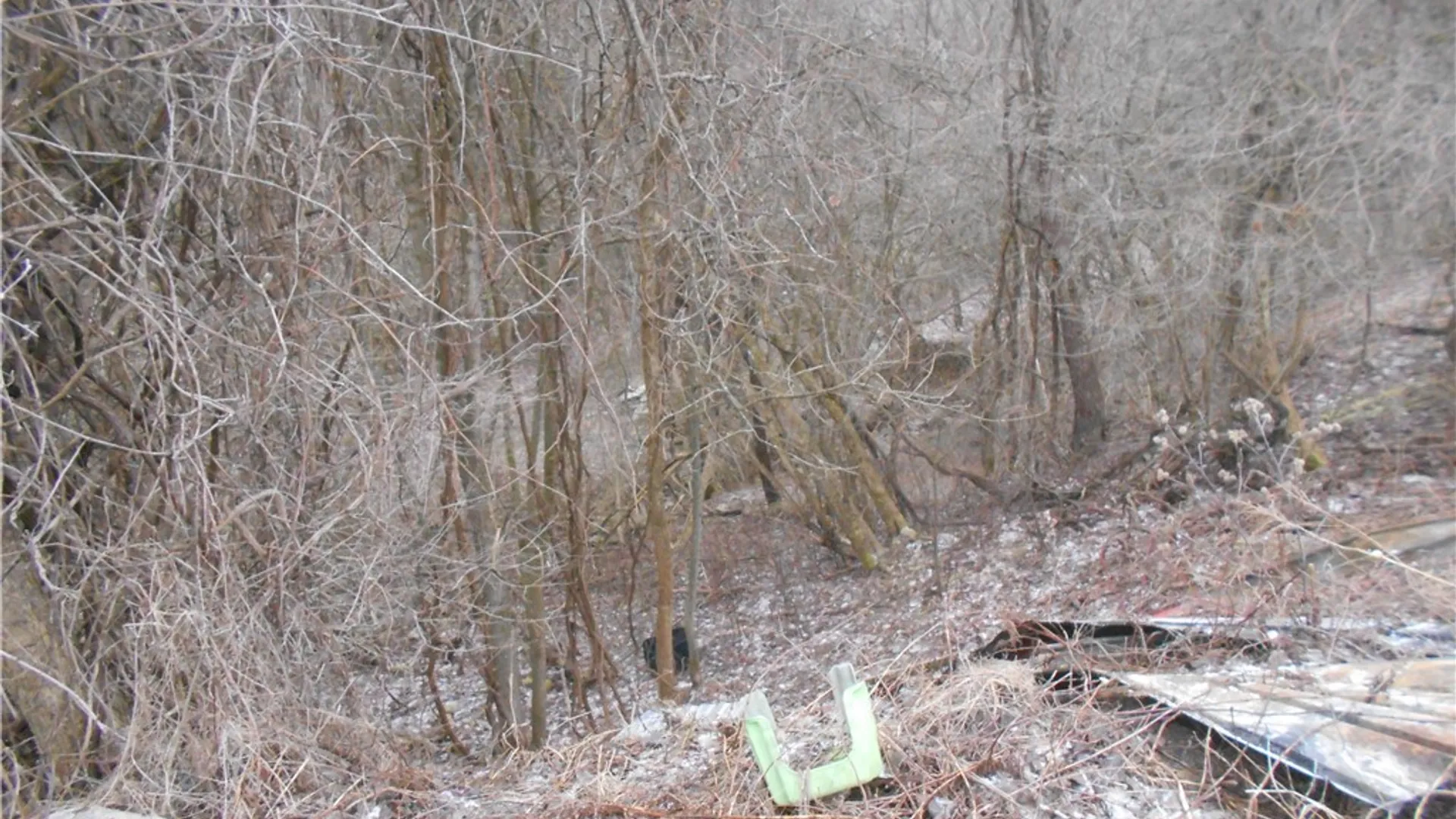 Property at 0 Route 39, Pike, NY 14066 11