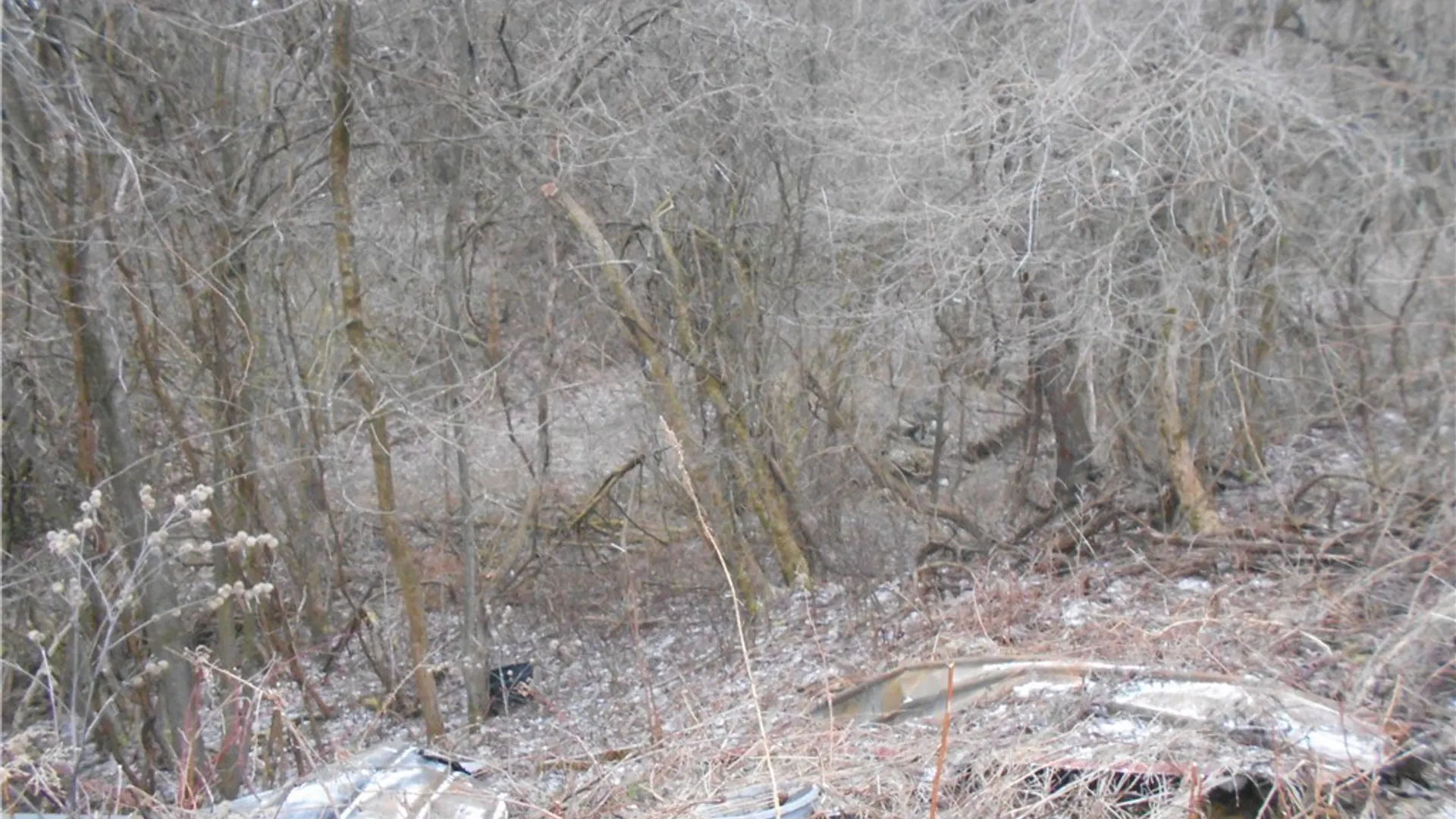 Property at 0 Route 39, Pike, NY 14066 13