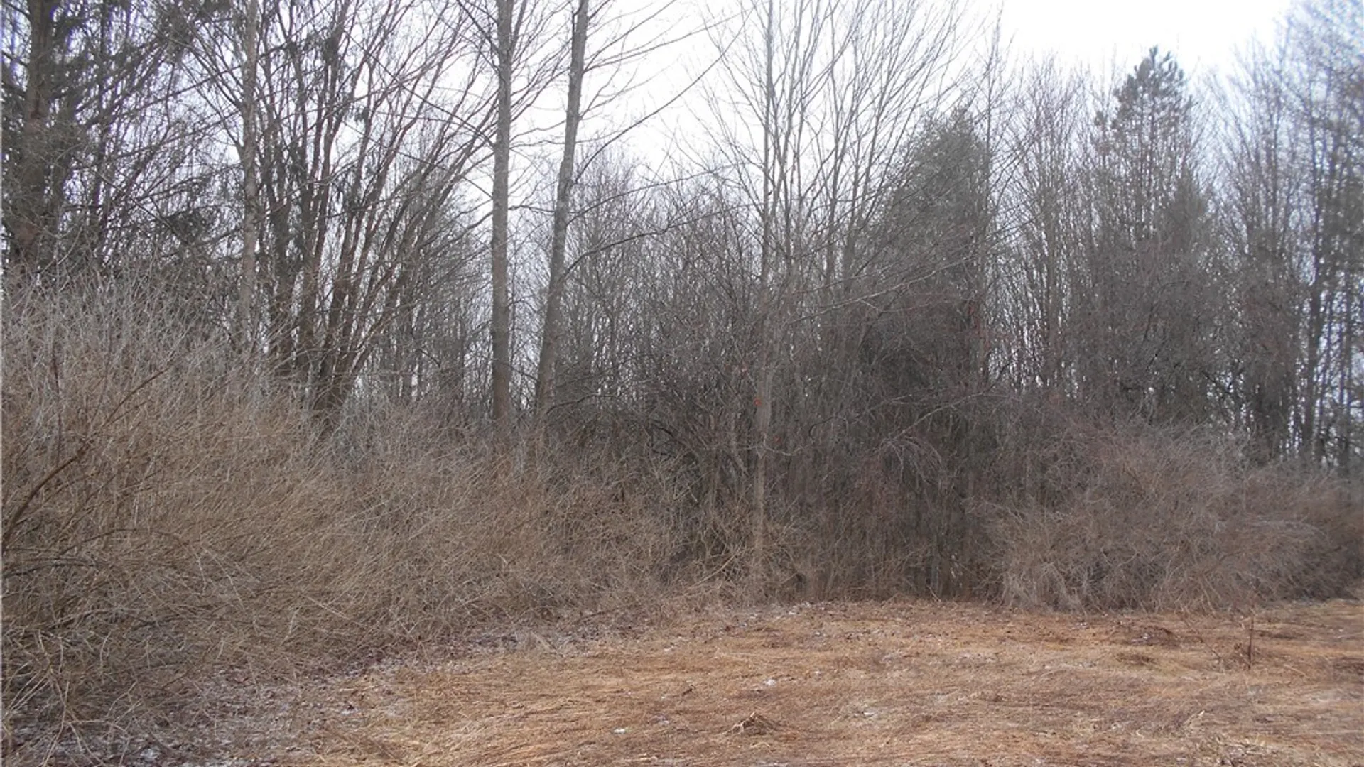 Property at 0 Route 39, Pike, NY 14066 17