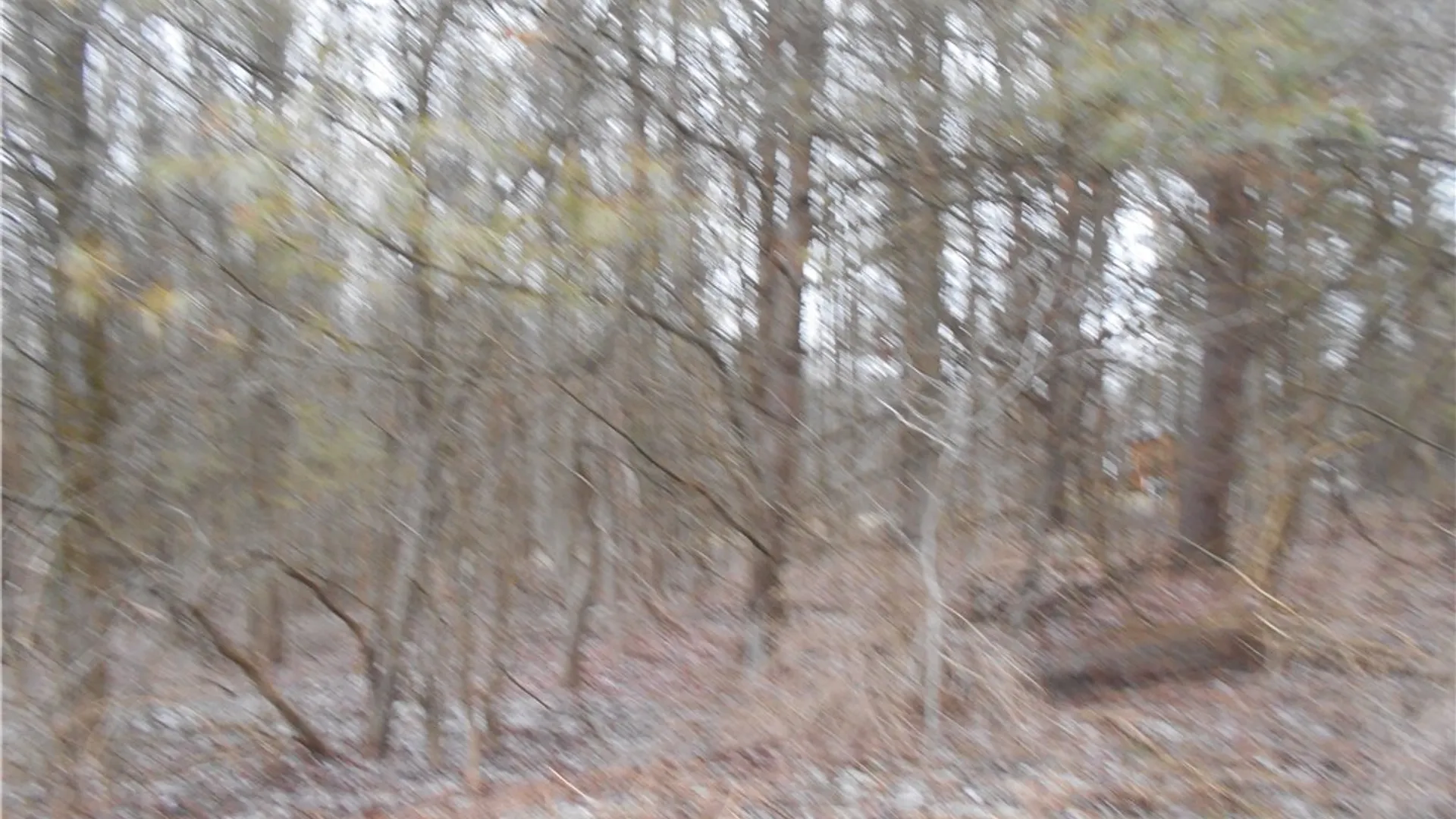 Property at 0 Route 39, Pike, NY 14066 18